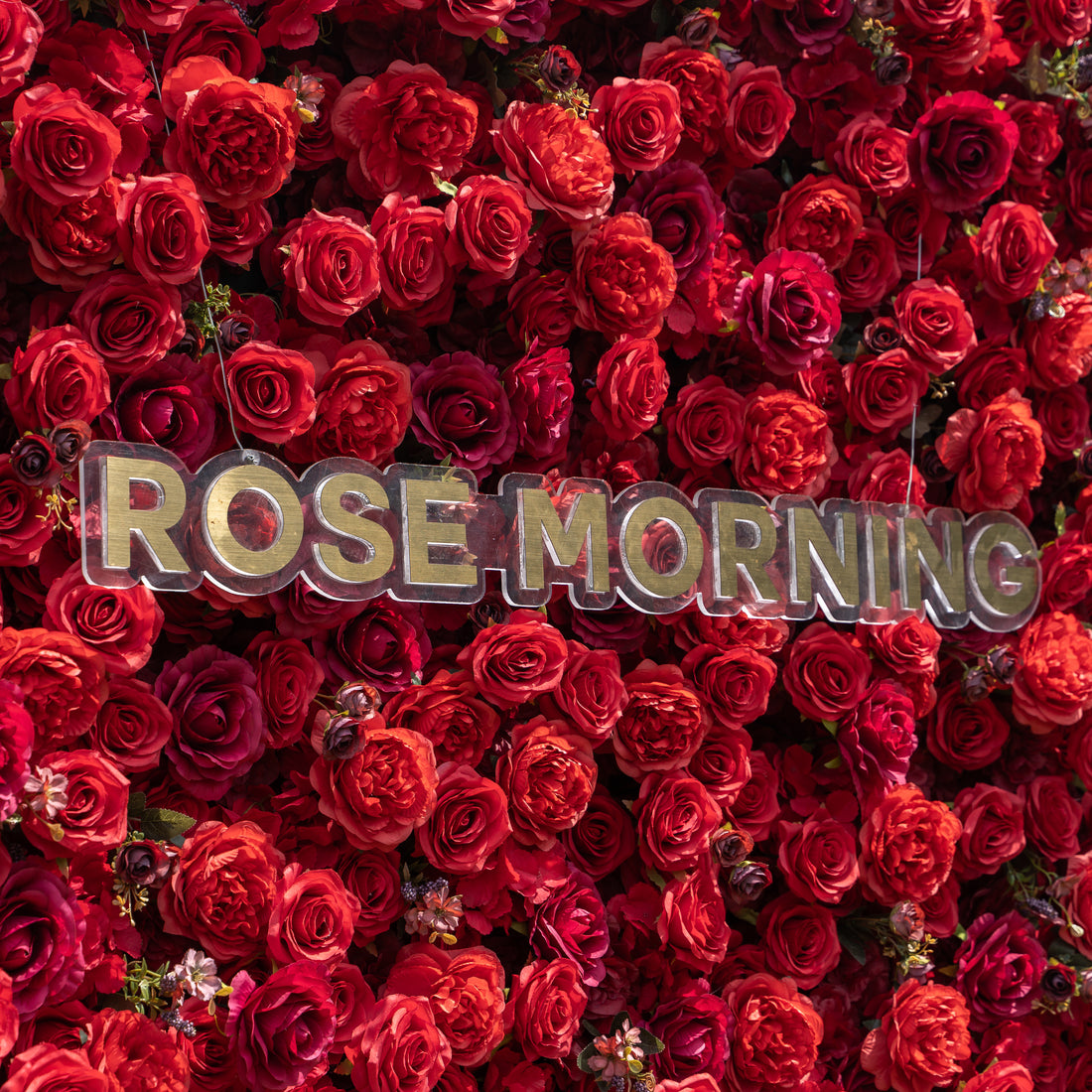 Feliz๏ผ4D Fabric Artificial zip up curtain flower wall 8ft*8ft