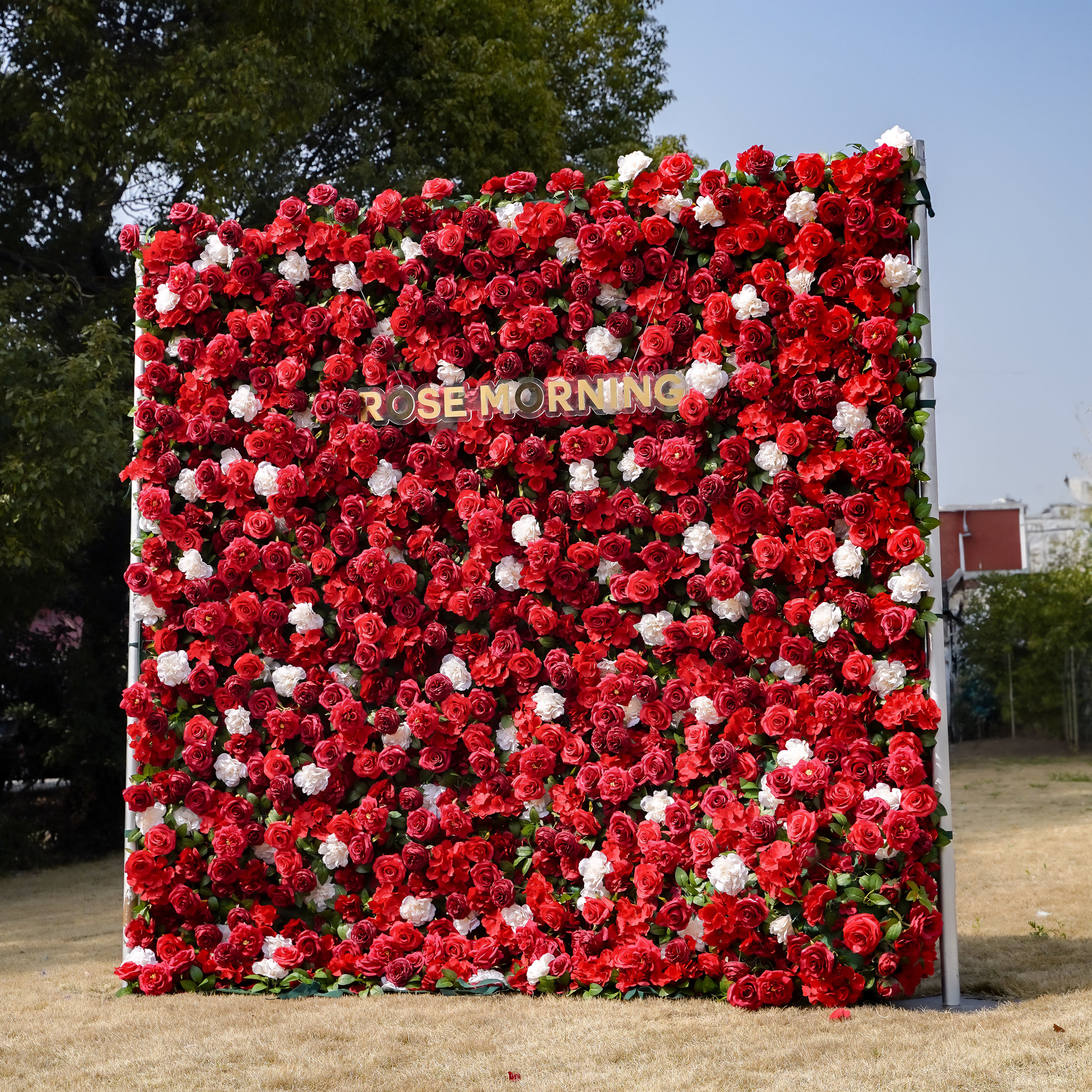 Five: Fabric Artificial zip up curtain flower wall 8ft*8ft Rose Morning