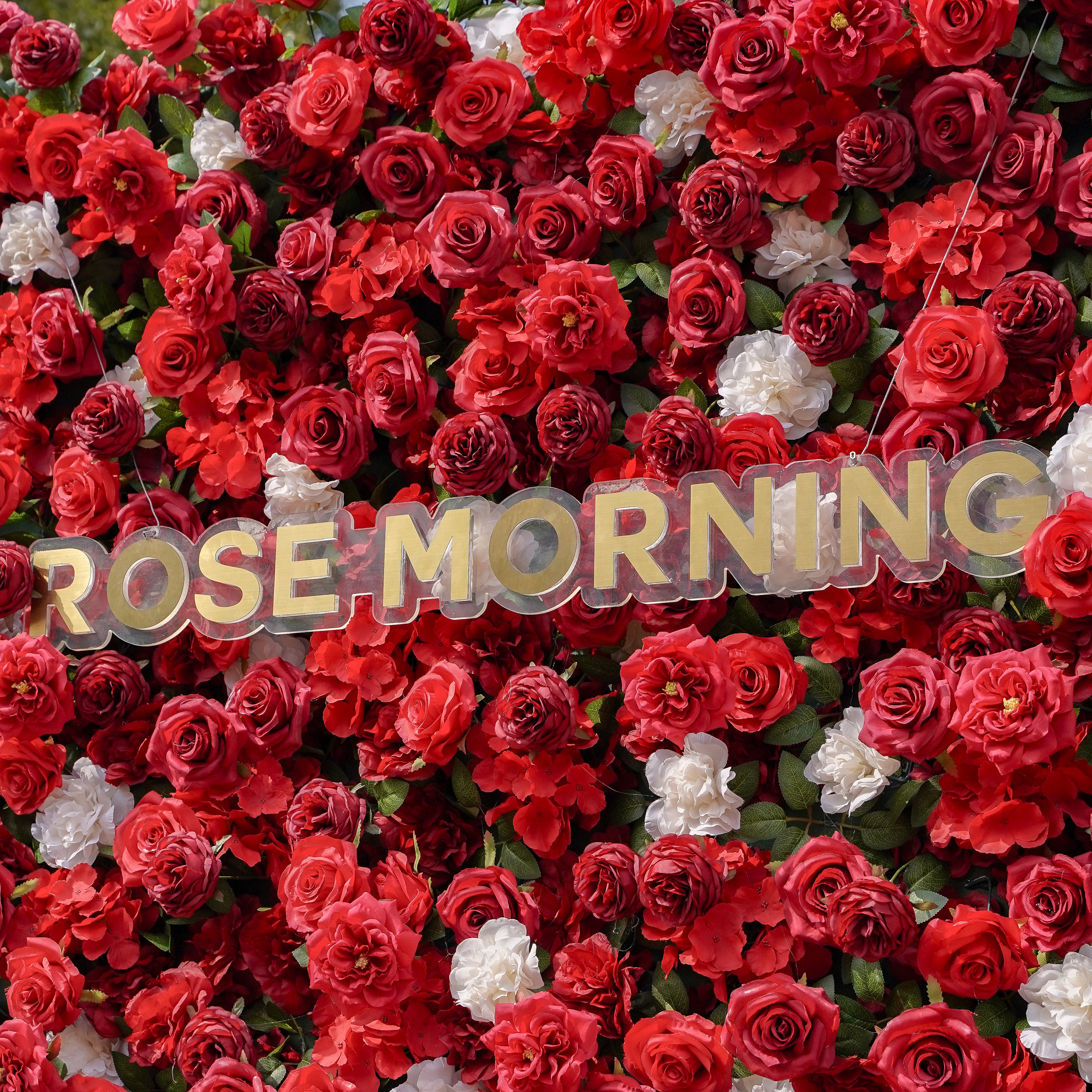 Five: Fabric Artificial zip up curtain flower wall 8ft*8ft Rose Morning
