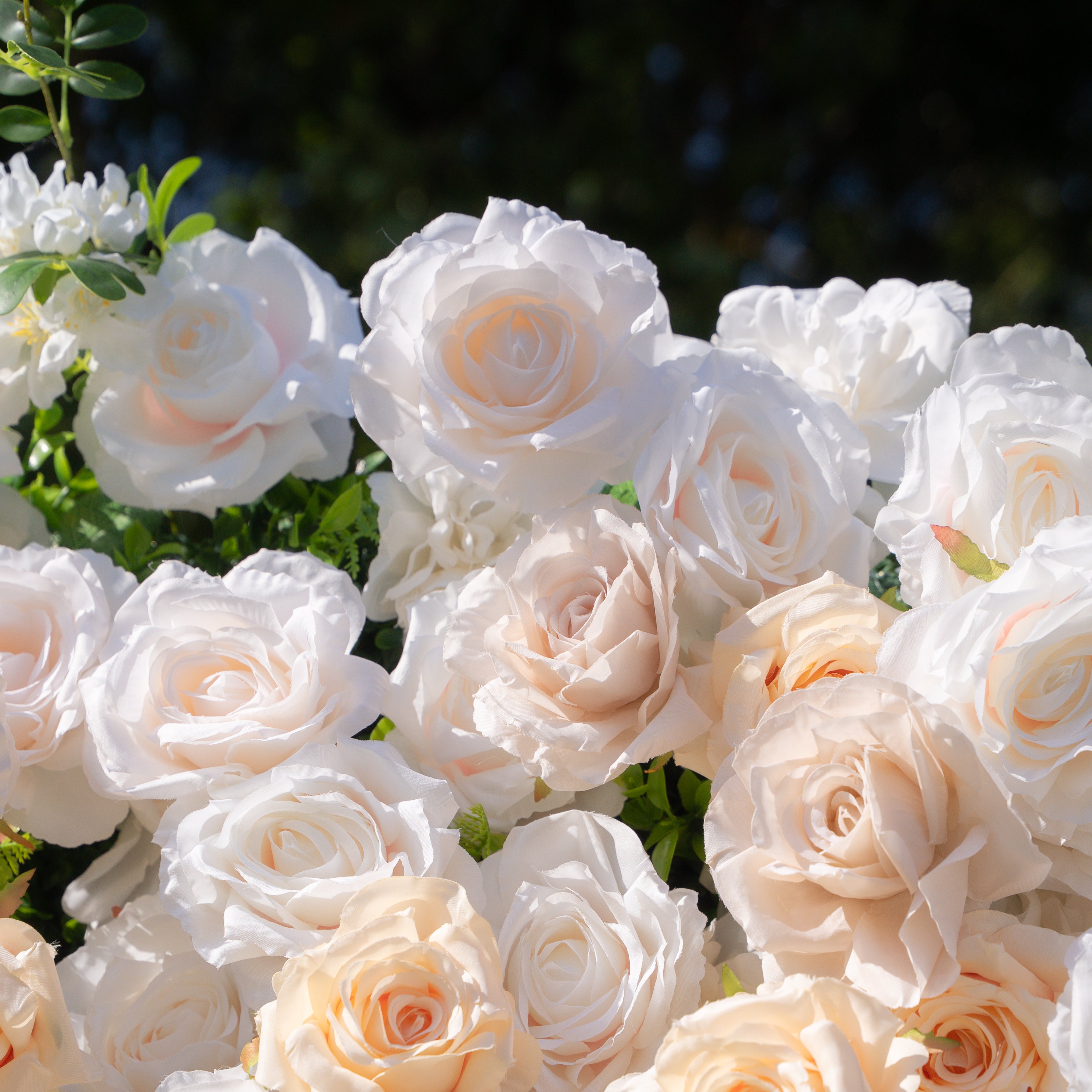 Frangipani:5D Fabric Artificial rolling up curtain flower wall