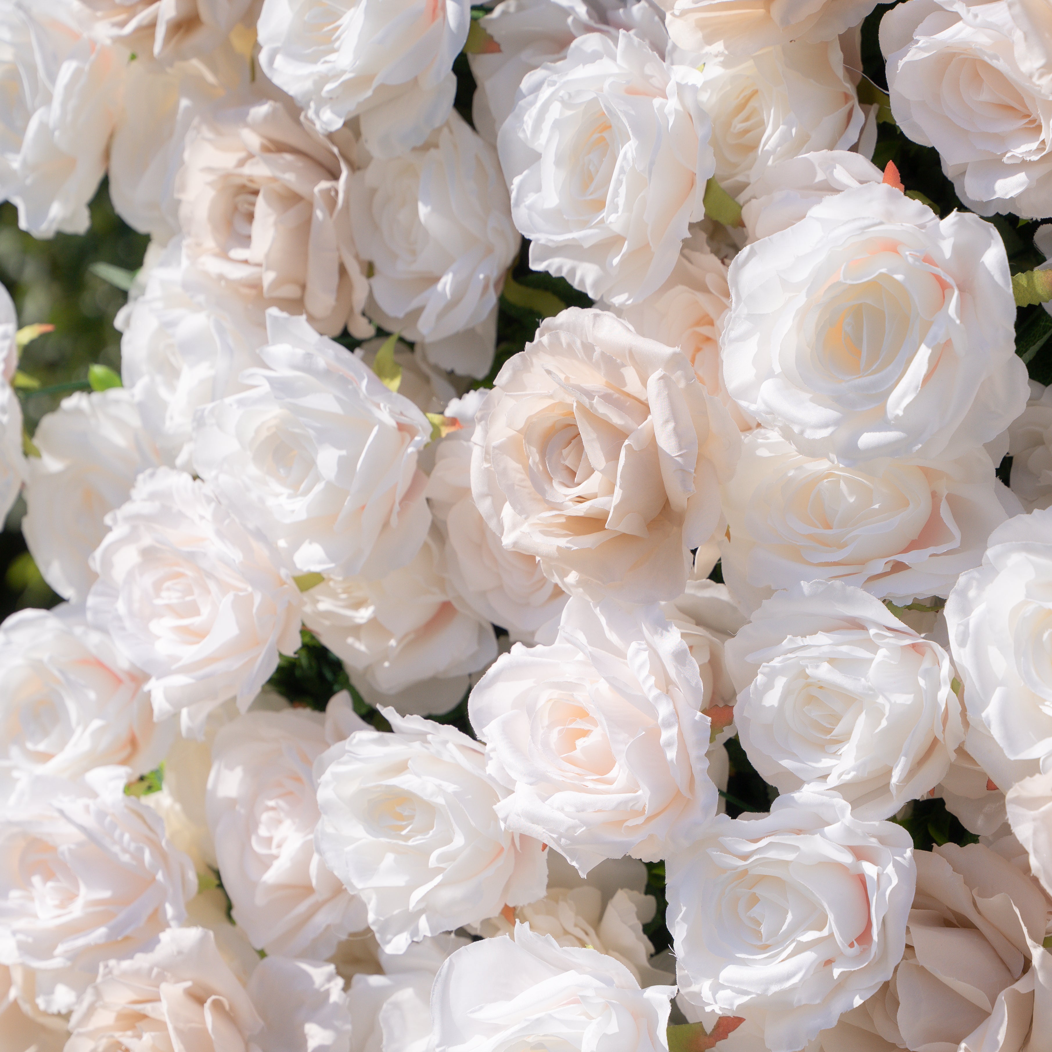 Frangipani:5D Fabric Artificial rolling up curtain flower wall