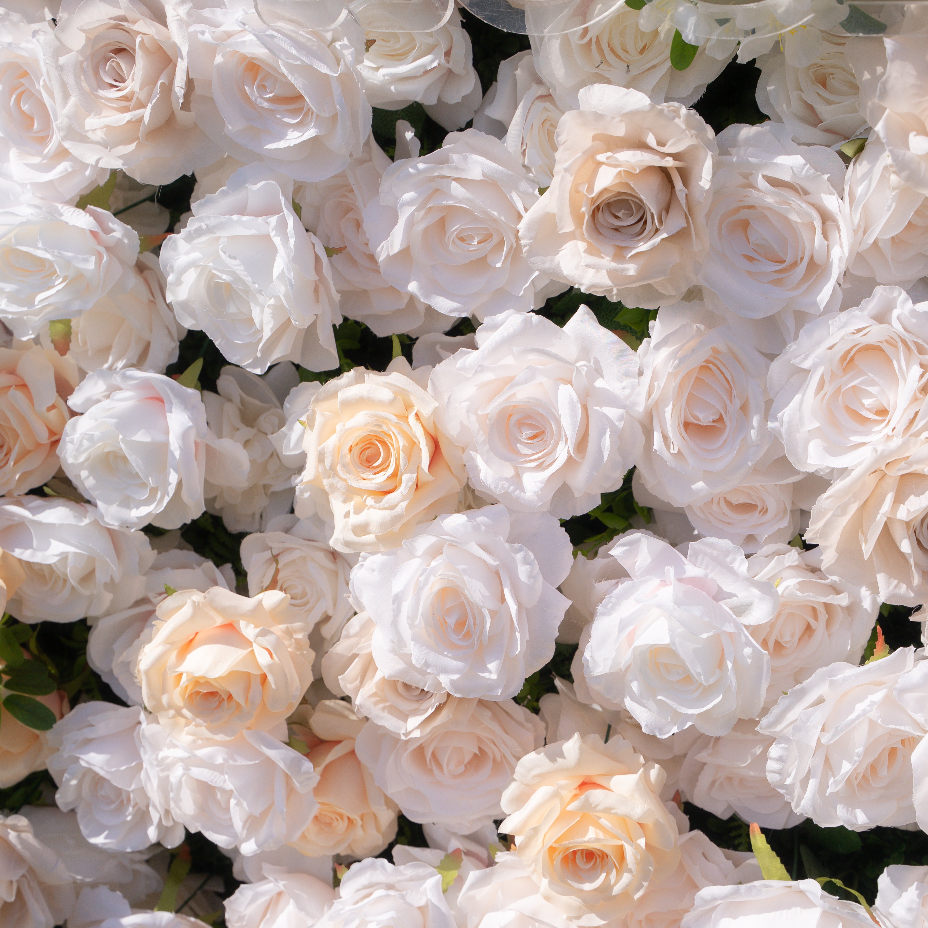 Frangipani:5D Fabric Artificial rolling up curtain flower wall