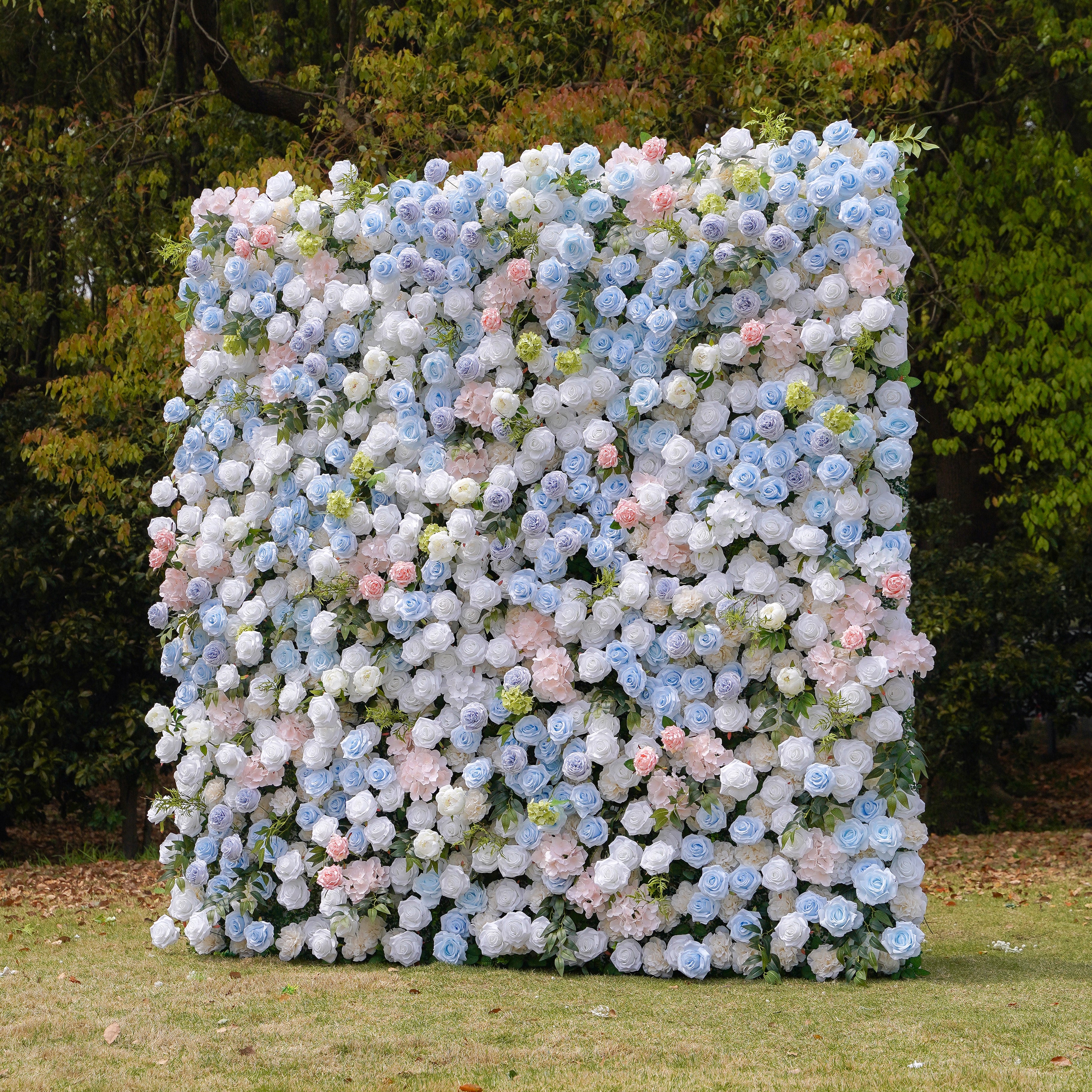 Frank:5D Fabric Artificial rolling up curtain flower wall Rose Morning