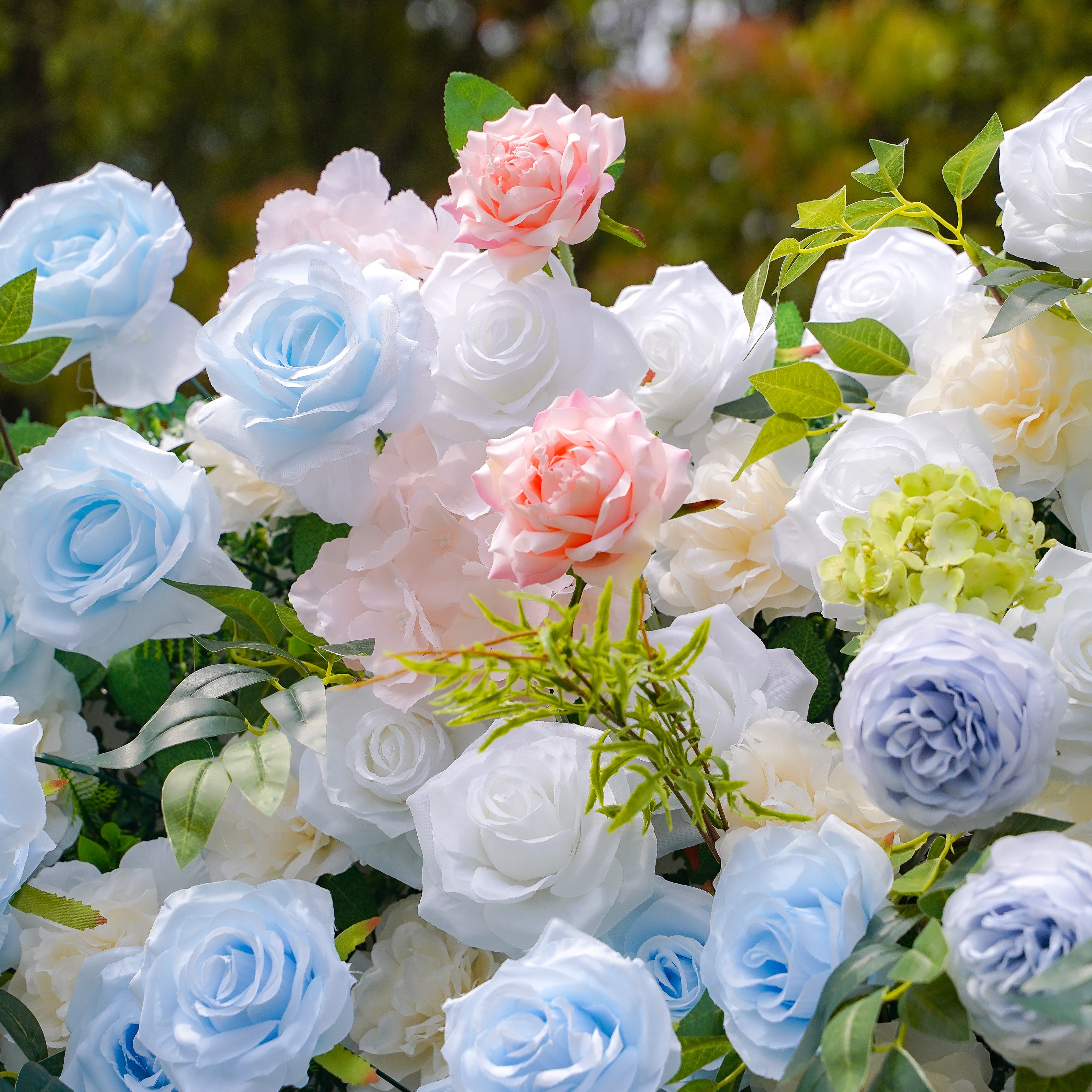 Frank:5D Fabric Artificial rolling up curtain flower wall Rose Morning