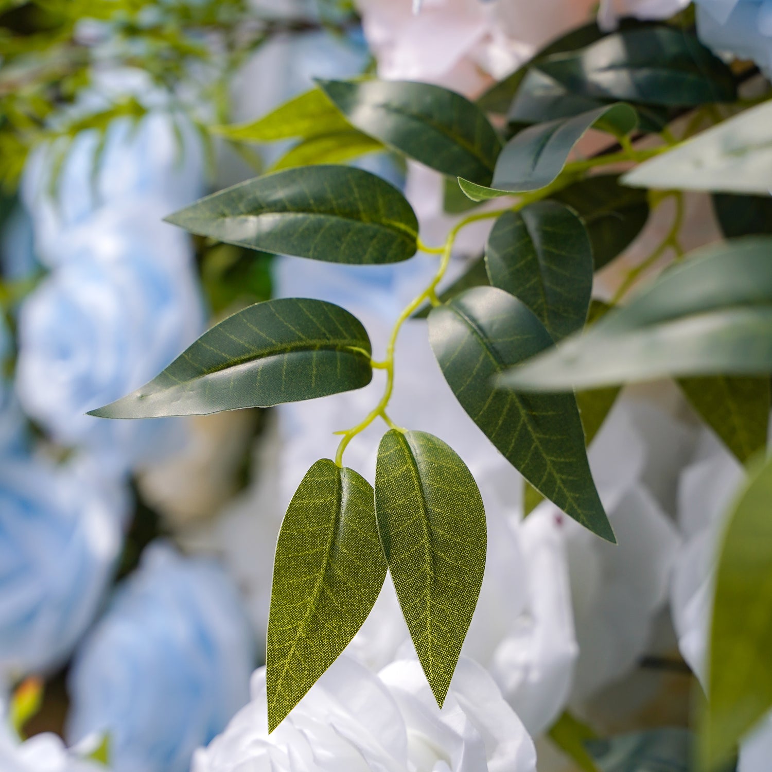 Frank:5D Fabric Artificial rolling up curtain flower wall Rose Morning