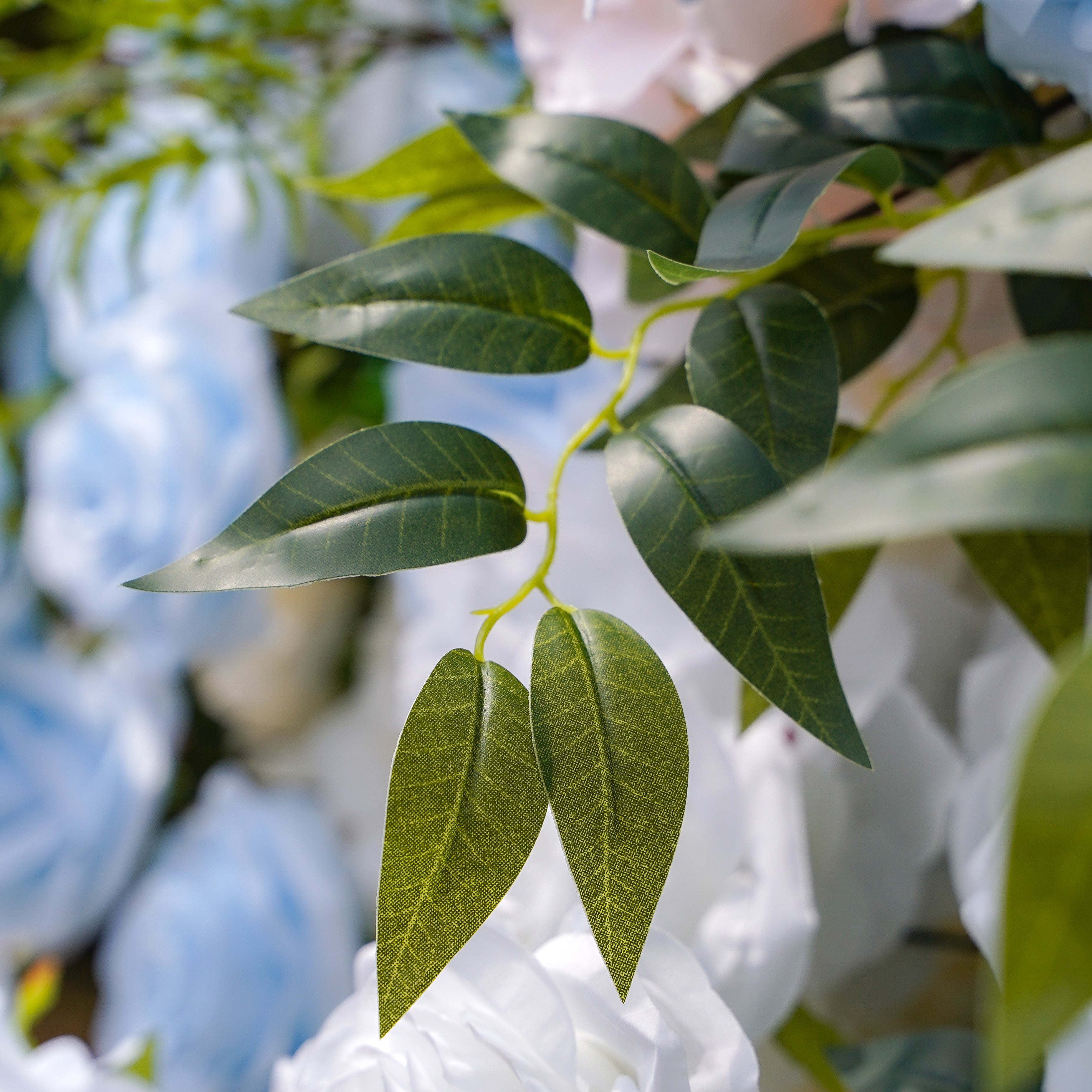 Frank:5D Fabric Artificial rolling up curtain flower wall Rose Morning