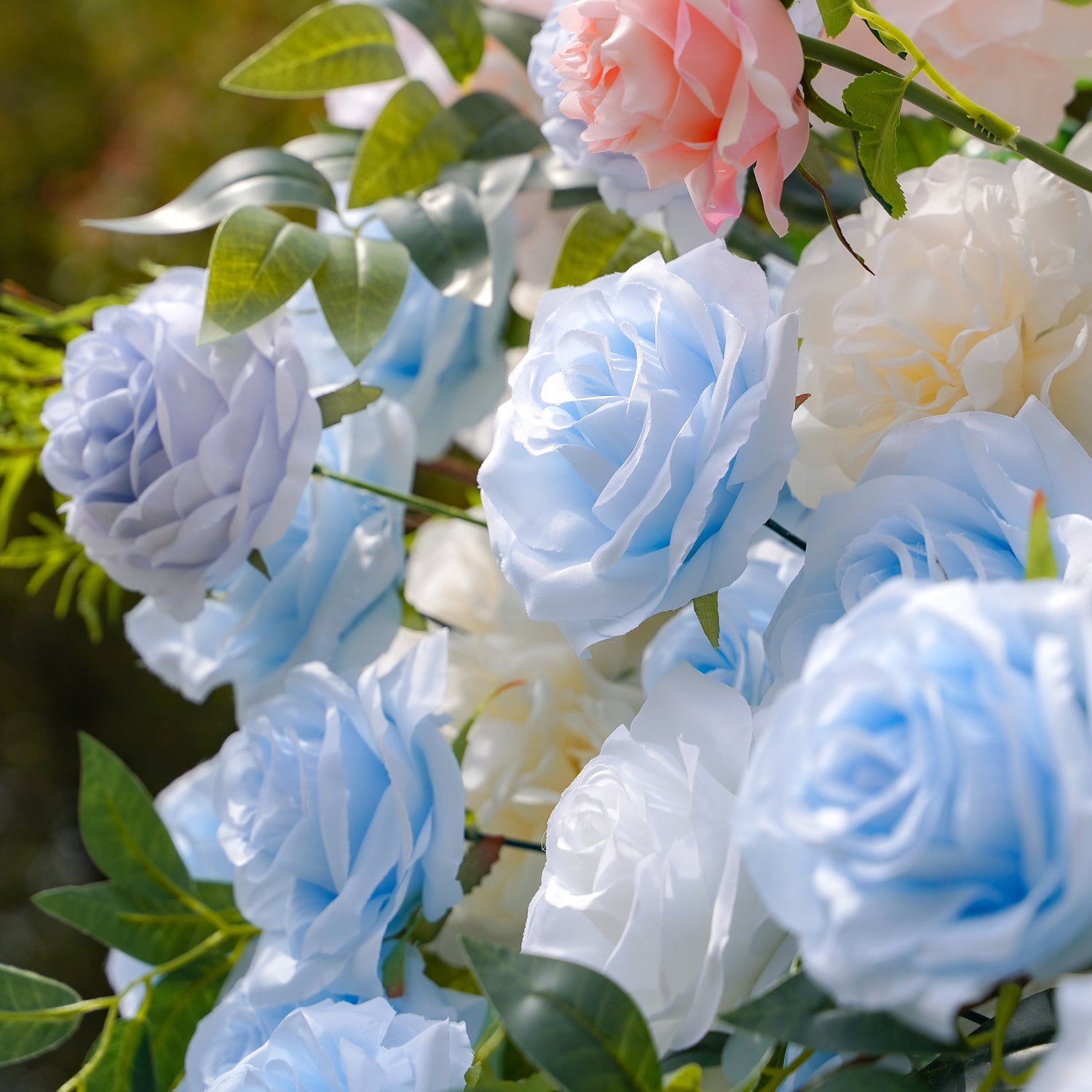 Frank:5D Fabric Artificial rolling up curtain flower wall Rose Morning