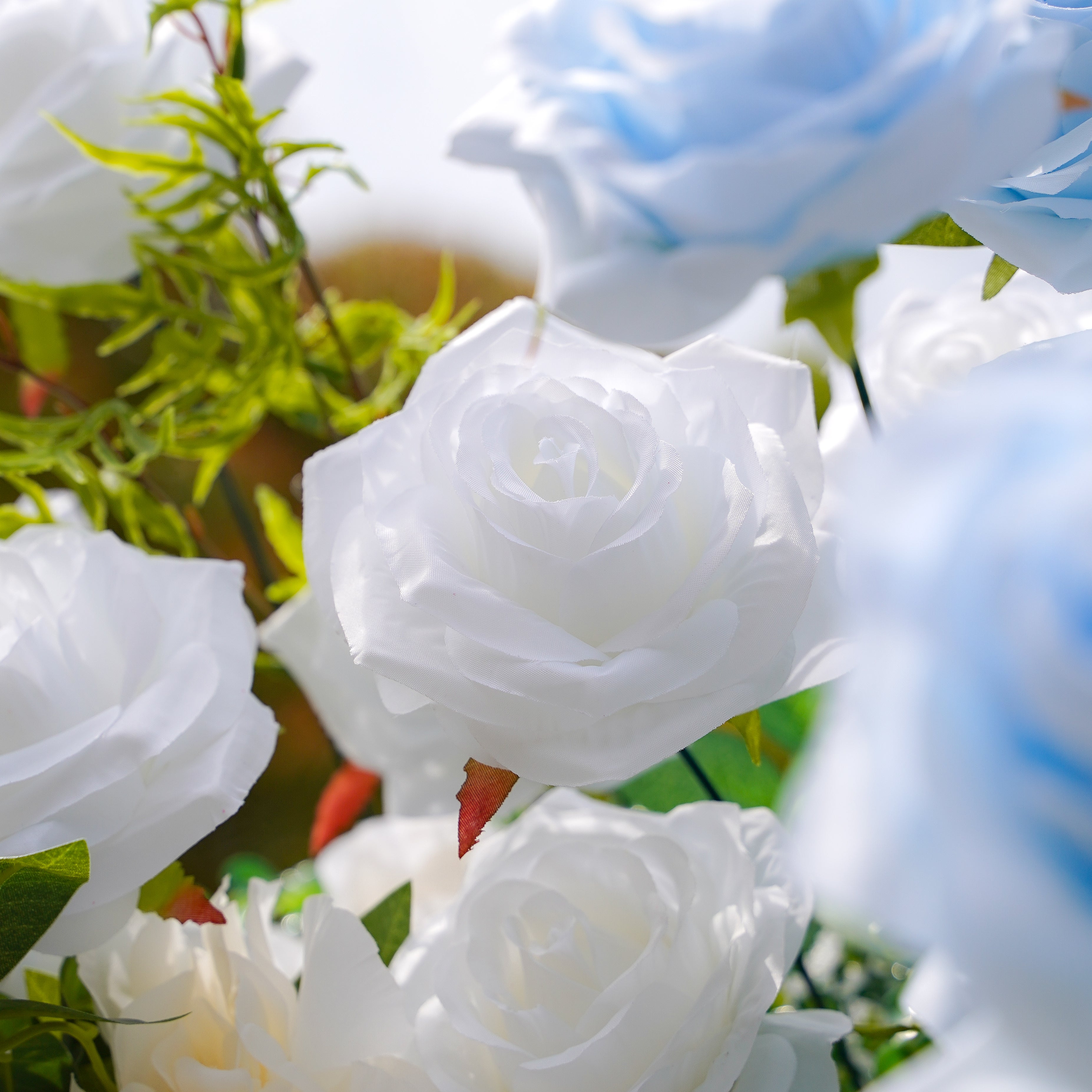 Frank:5D Fabric Artificial rolling up curtain flower wall Rose Morning