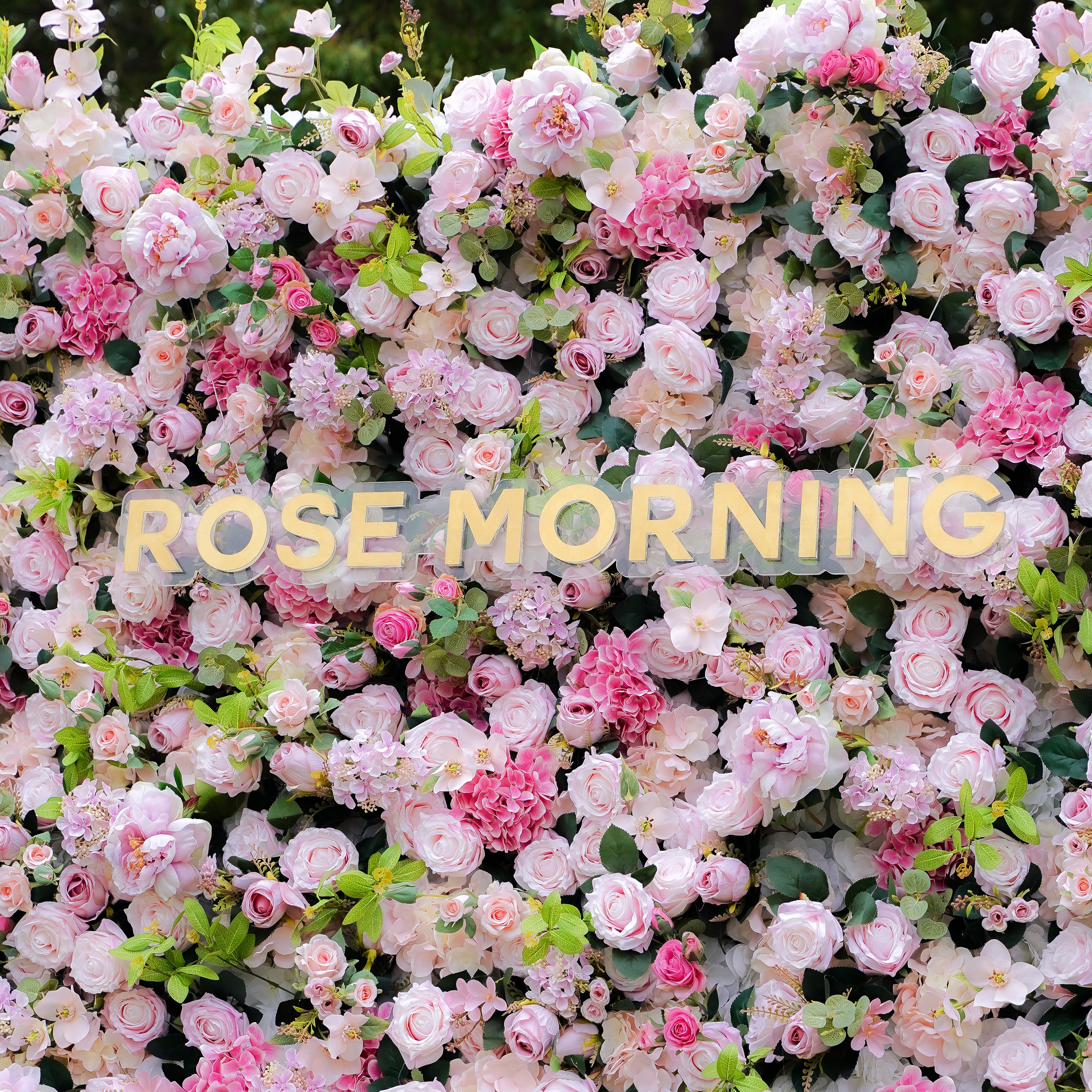 Georgia 5D 2023 New Fabric Artificial rolling up curtain flower wall Rose Morning