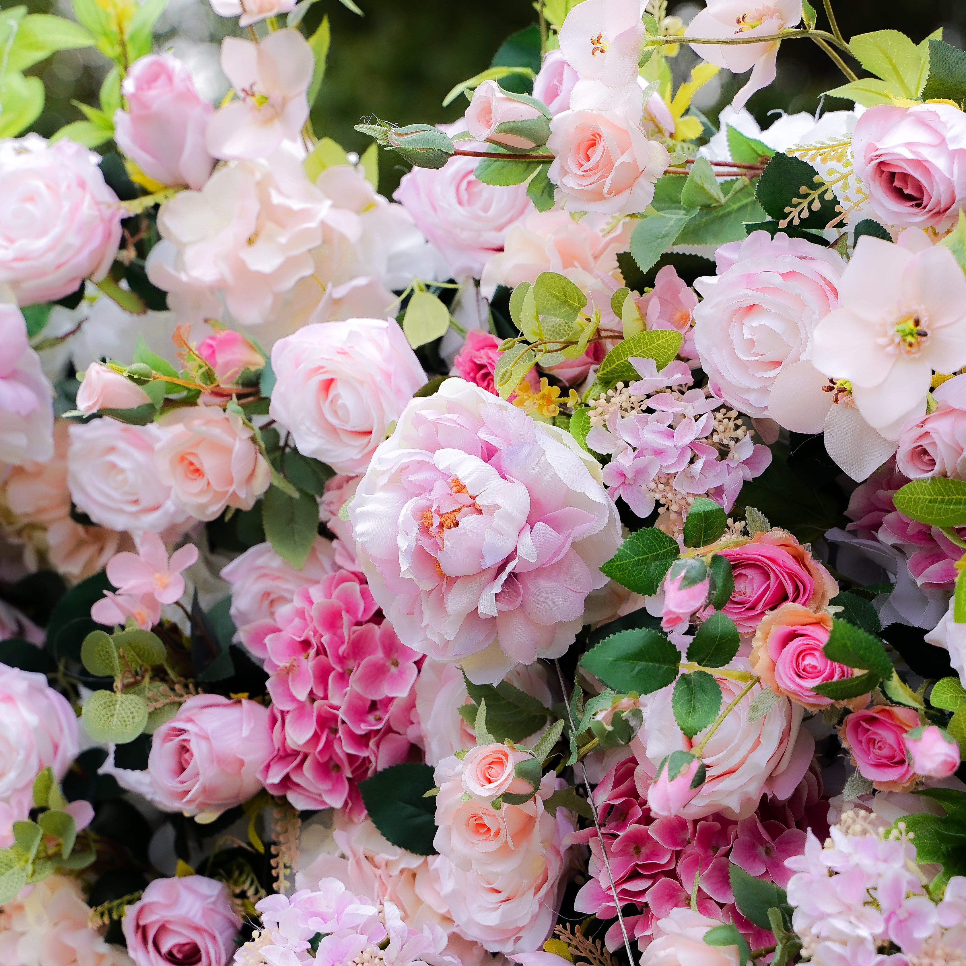 Georgia 5D 2023 New Fabric Artificial rolling up curtain flower wall Rose Morning