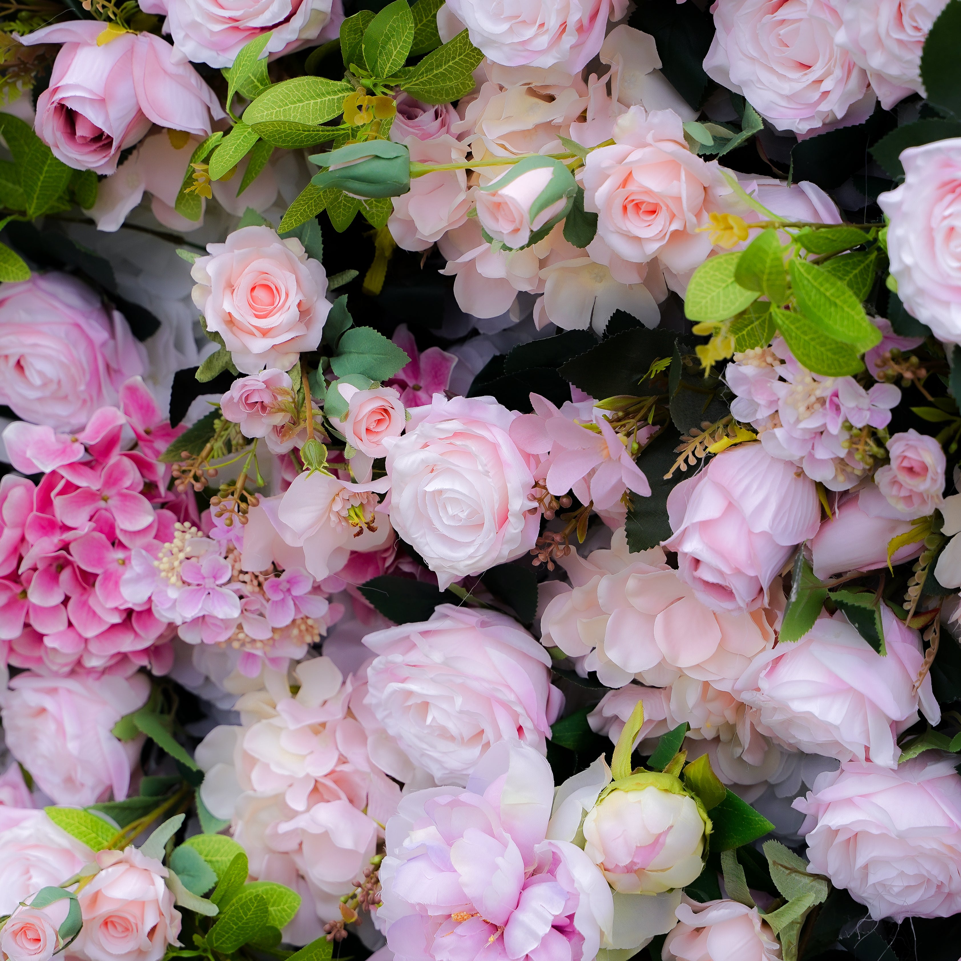 Georgia 5D 2023 New Fabric Artificial rolling up curtain flower wall Rose Morning