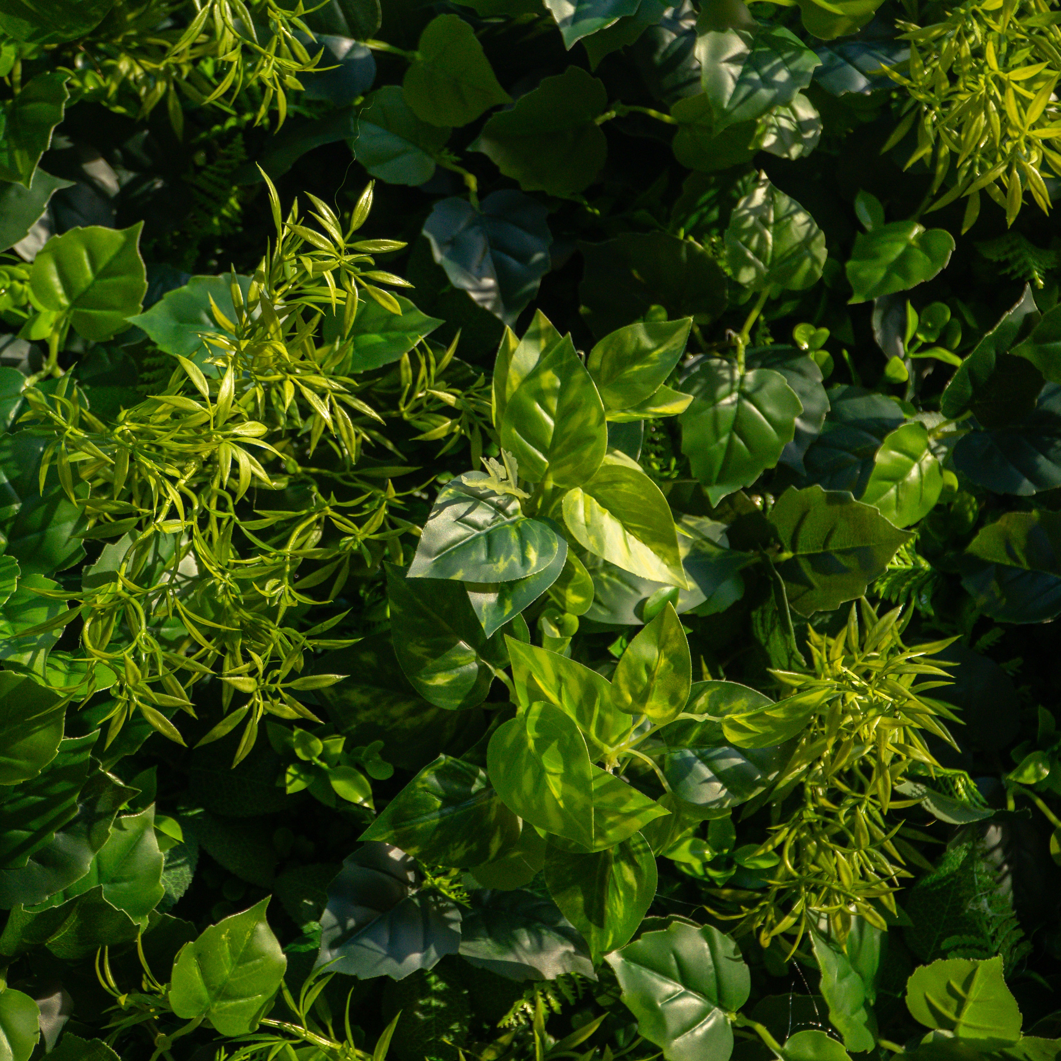 Greenery:3D Fabric Artificial rolling up curtain flower wall