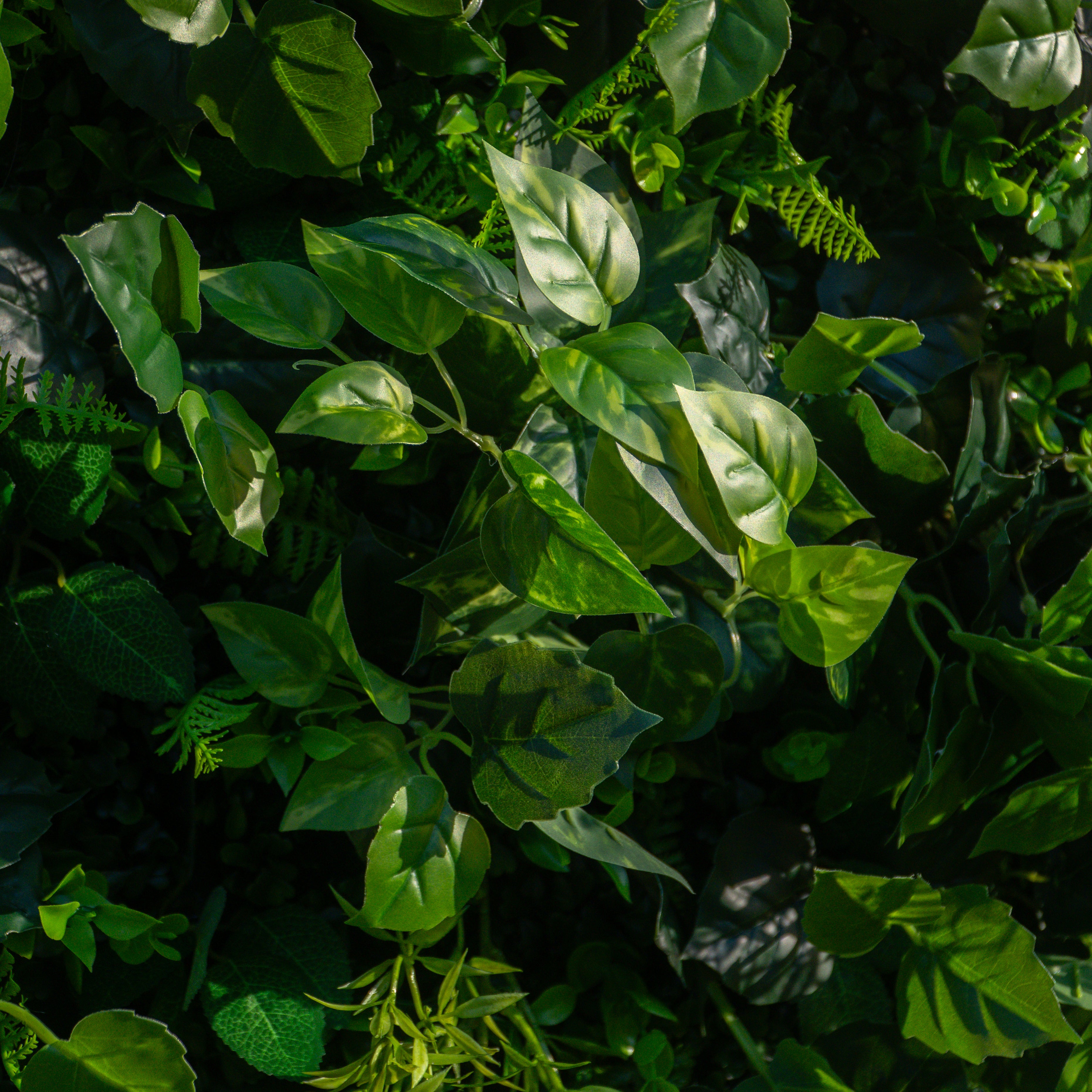 Greenery:3D Fabric Artificial rolling up curtain flower wall