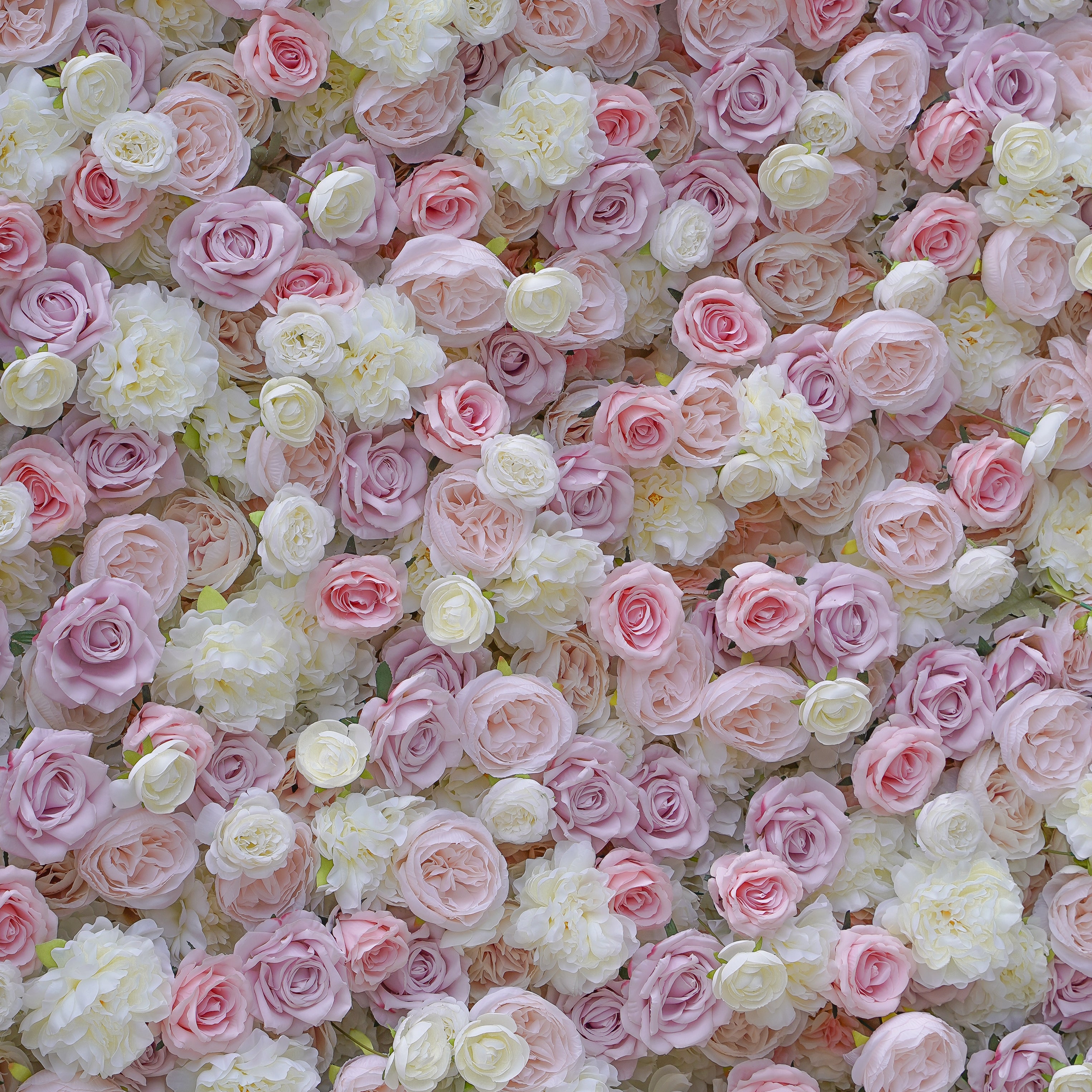 Hannah: 5D Fabric Artificial Flower Wall Rolling Up Curtain Flower Wall R013 - 8ft*8ft Rose Morning