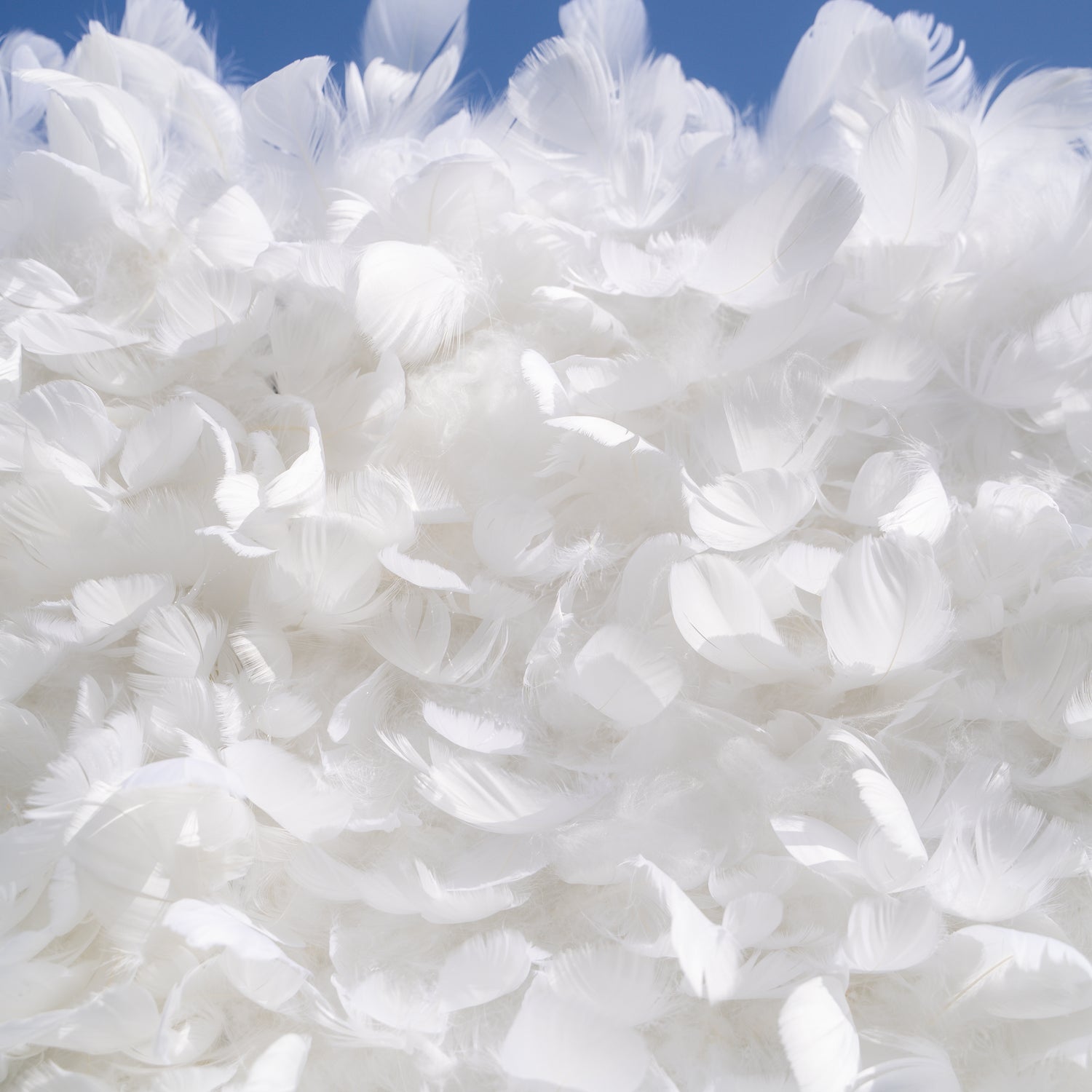 Hilton: Pure White Feather Flower Wall - 5D Fabric Backdrop for Wedding Birthday Party Event Decoration