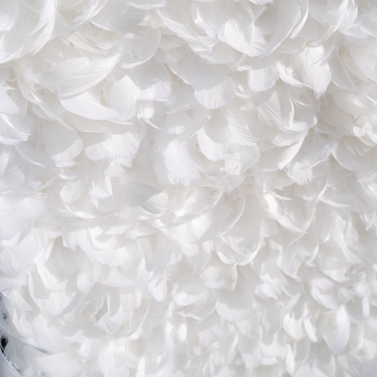 Hilton: Pure White Feather Flower Wall - 5D Fabric Backdrop for Wedding Birthday Party Event Decoration