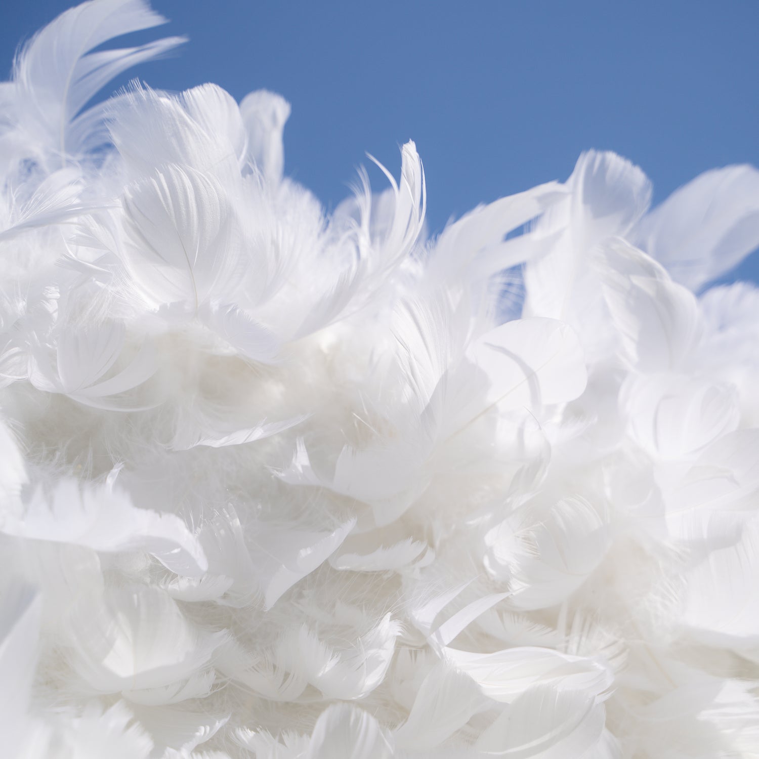 Hilton: Pure White Feather Flower Wall - 5D Fabric Backdrop for Wedding Birthday Party Event Decoration
