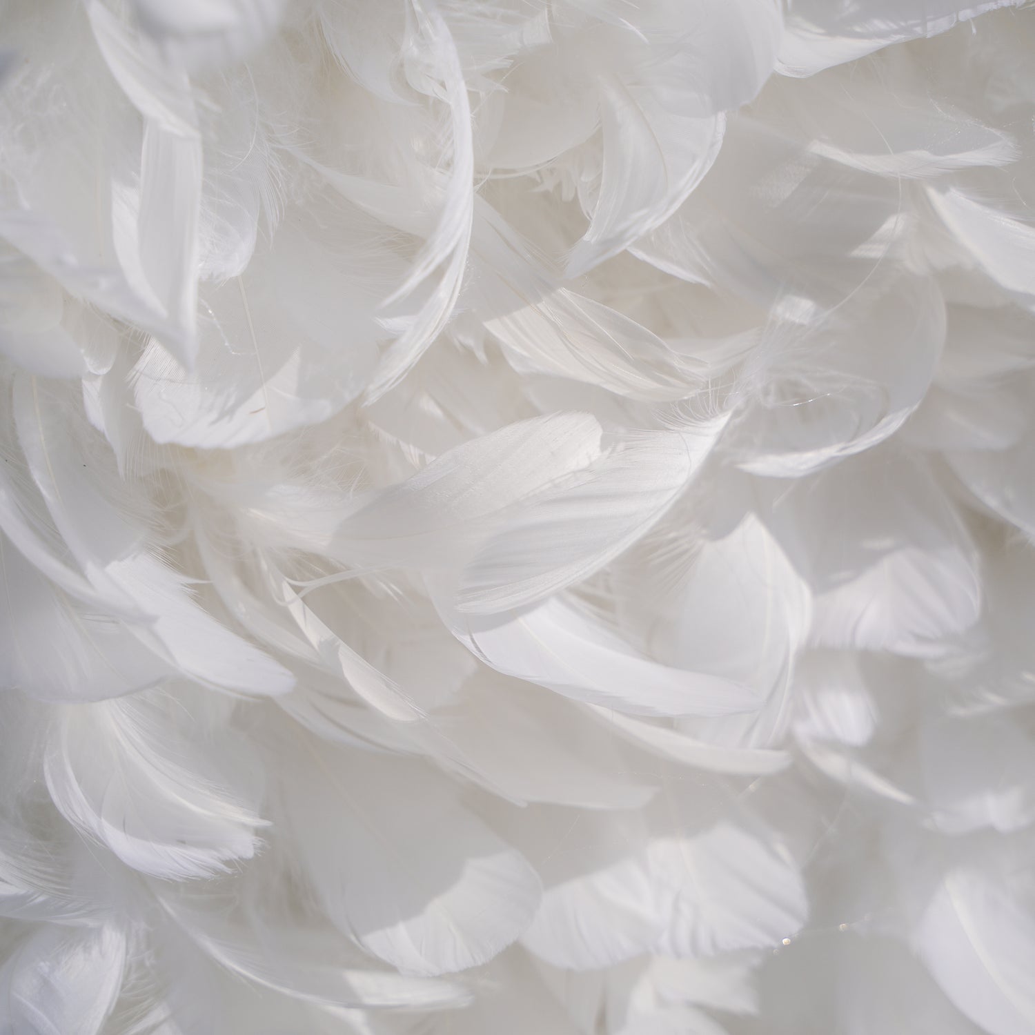 Hilton: Pure White Feather Flower Wall - 5D Fabric Backdrop for Wedding Birthday Party Event Decoration