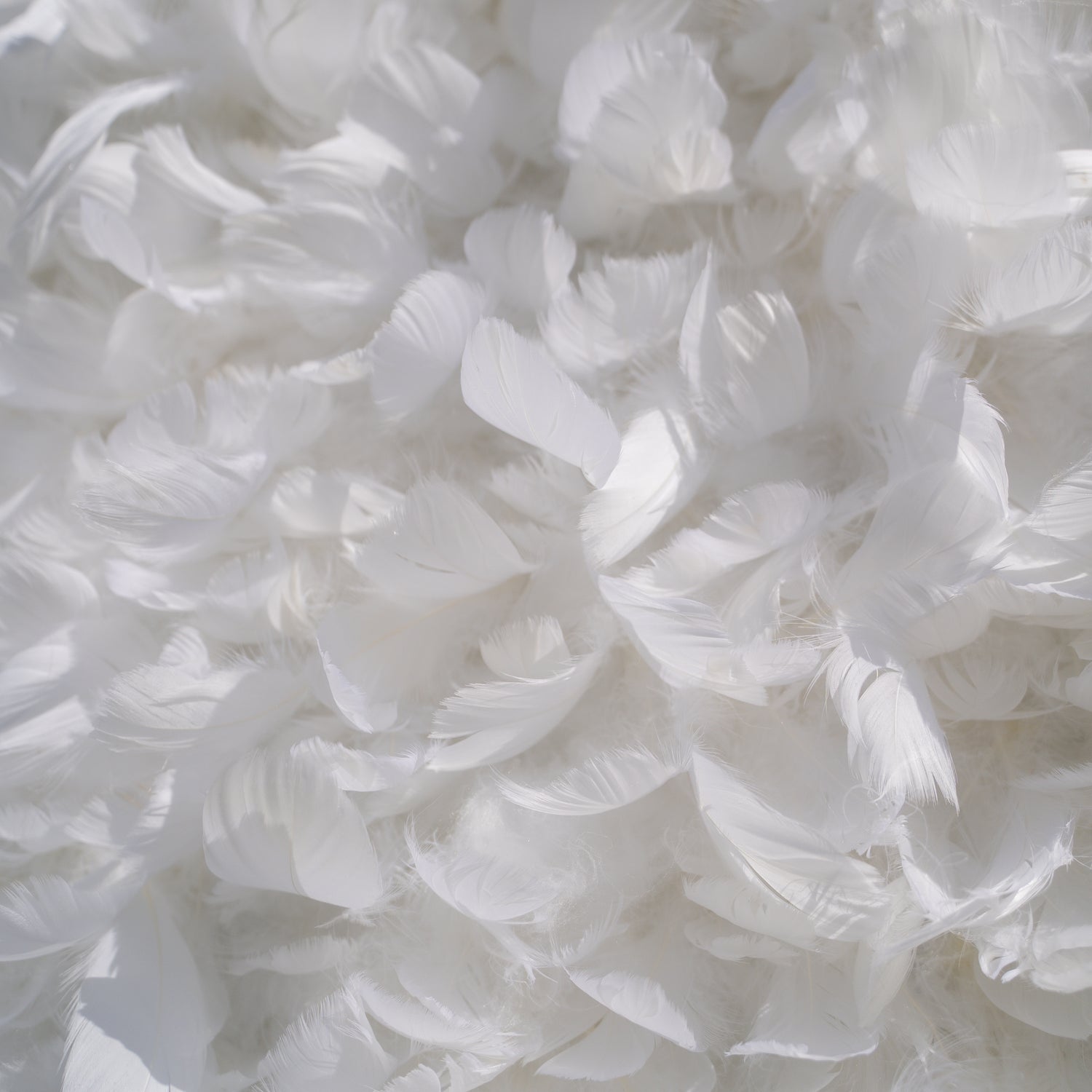 Hilton: Pure White Feather Flower Wall - 5D Fabric Backdrop for Wedding Birthday Party Event Decoration