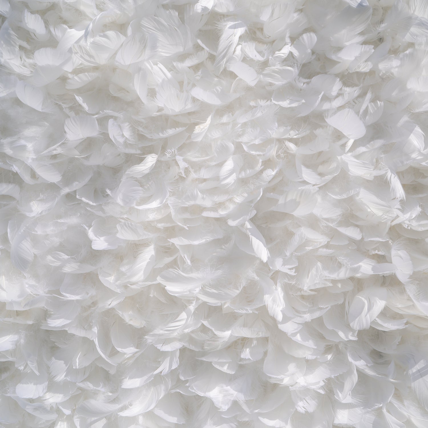 Hilton: Pure White Feather Flower Wall - 5D Fabric Backdrop for Wedding Birthday Party Event Decoration