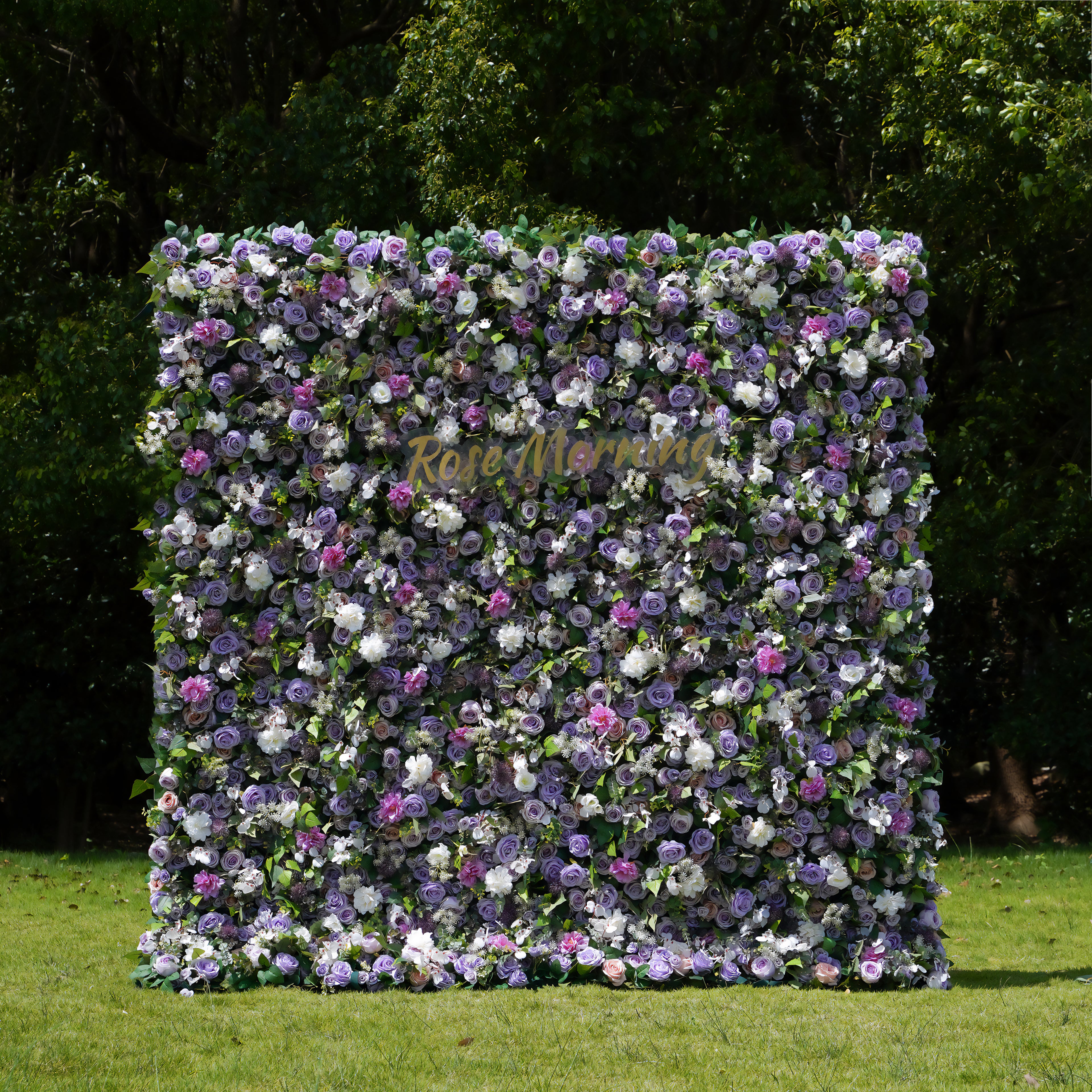 Isabella:5D 2023 New Fabric Artificial Flower Wall Rolling Up Curtain Flower Wall-R137 Rose Morning