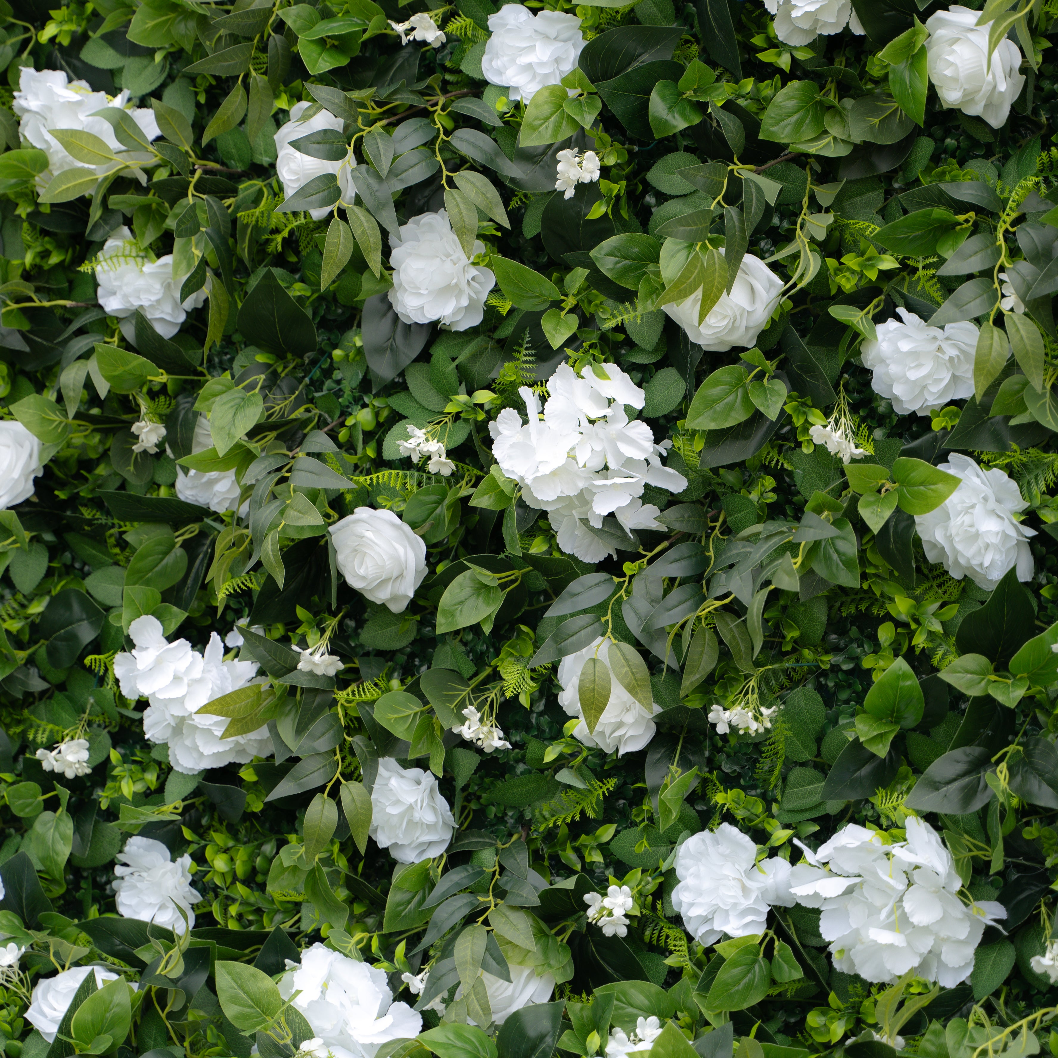 Jane Plus:Upgraded High-class Jane wall Fabric Artificial rolling up curtain flower wall (Ready to ship) Rose Morning