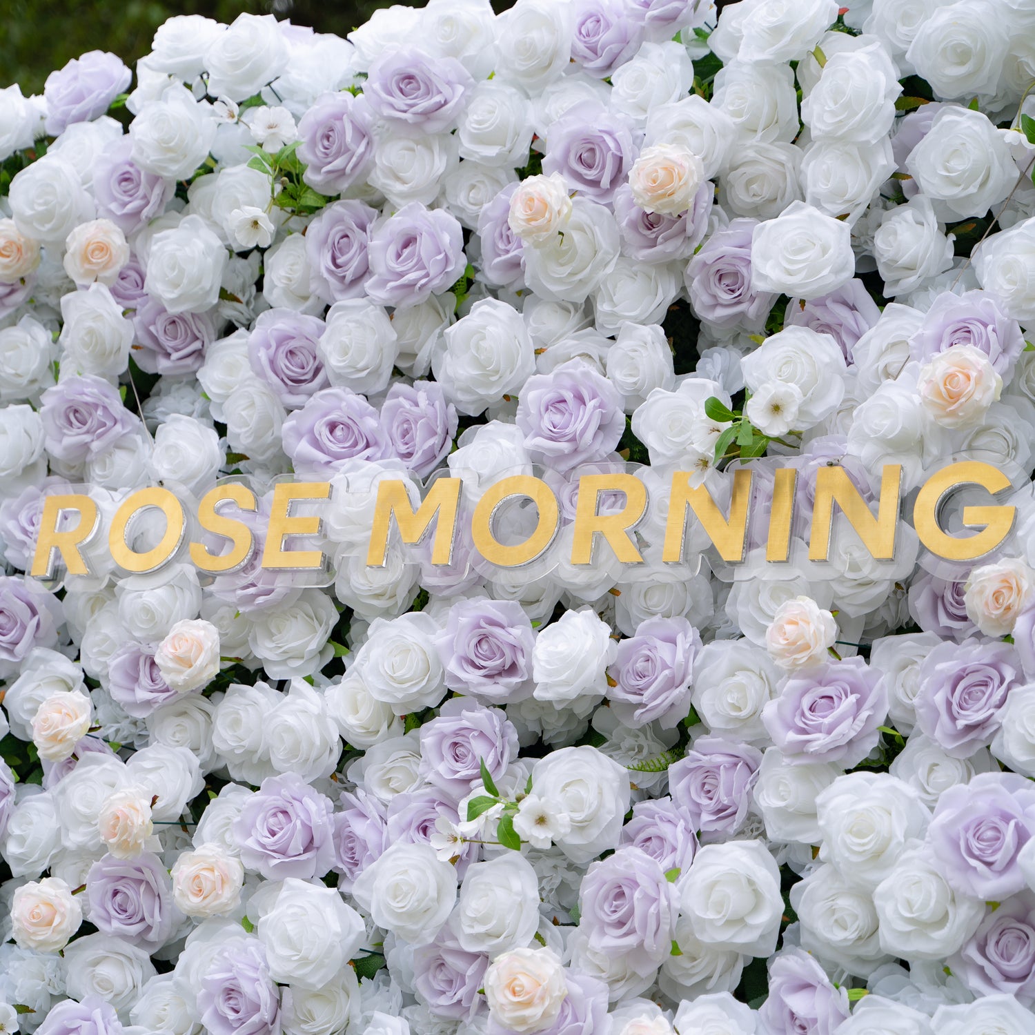 Jazlynn:5D Fabric Artificial rolling up curtain flower wall (Ready to ship) Rose Morning