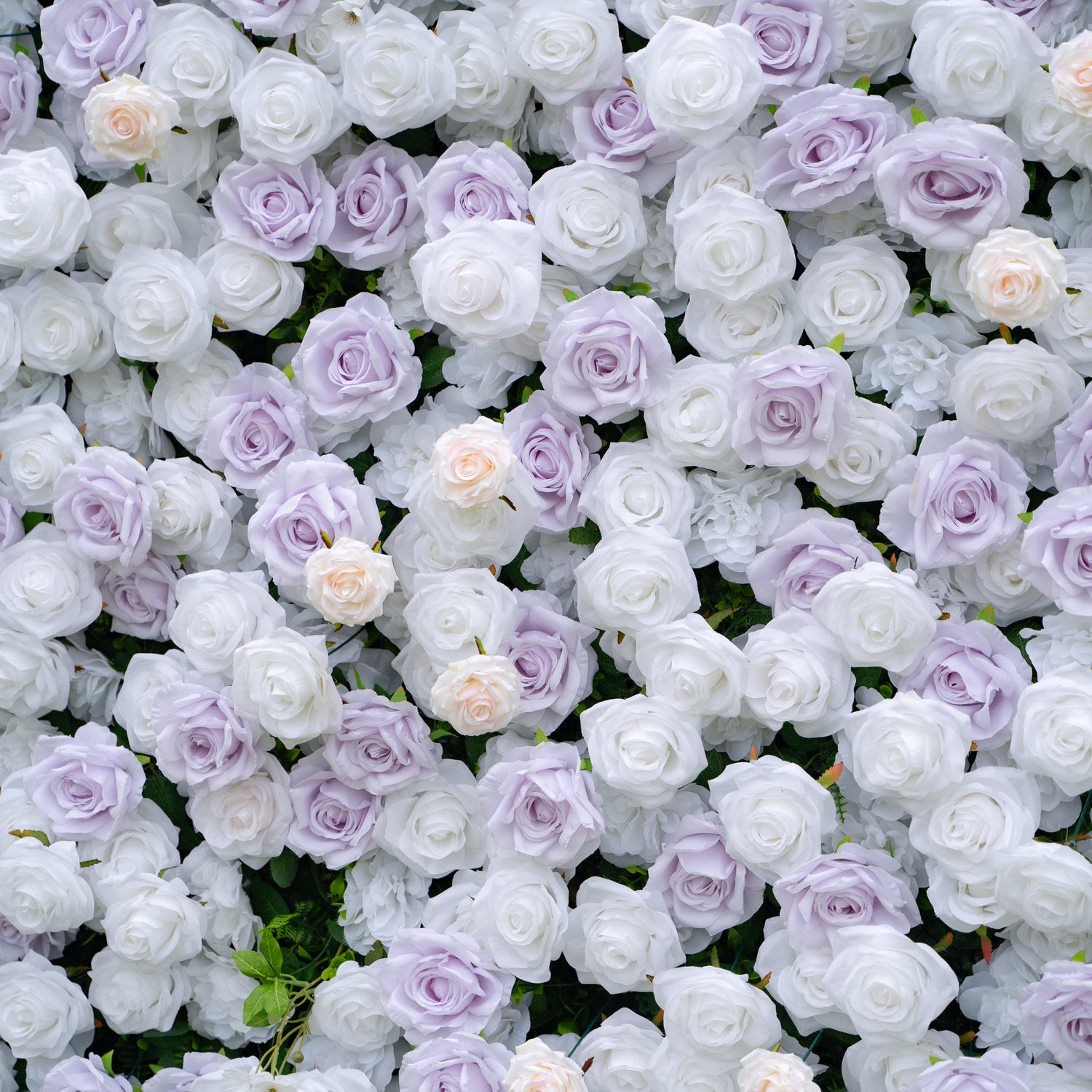Jazlynn:5D Fabric Artificial rolling up curtain flower wall (Ready to ship) Rose Morning