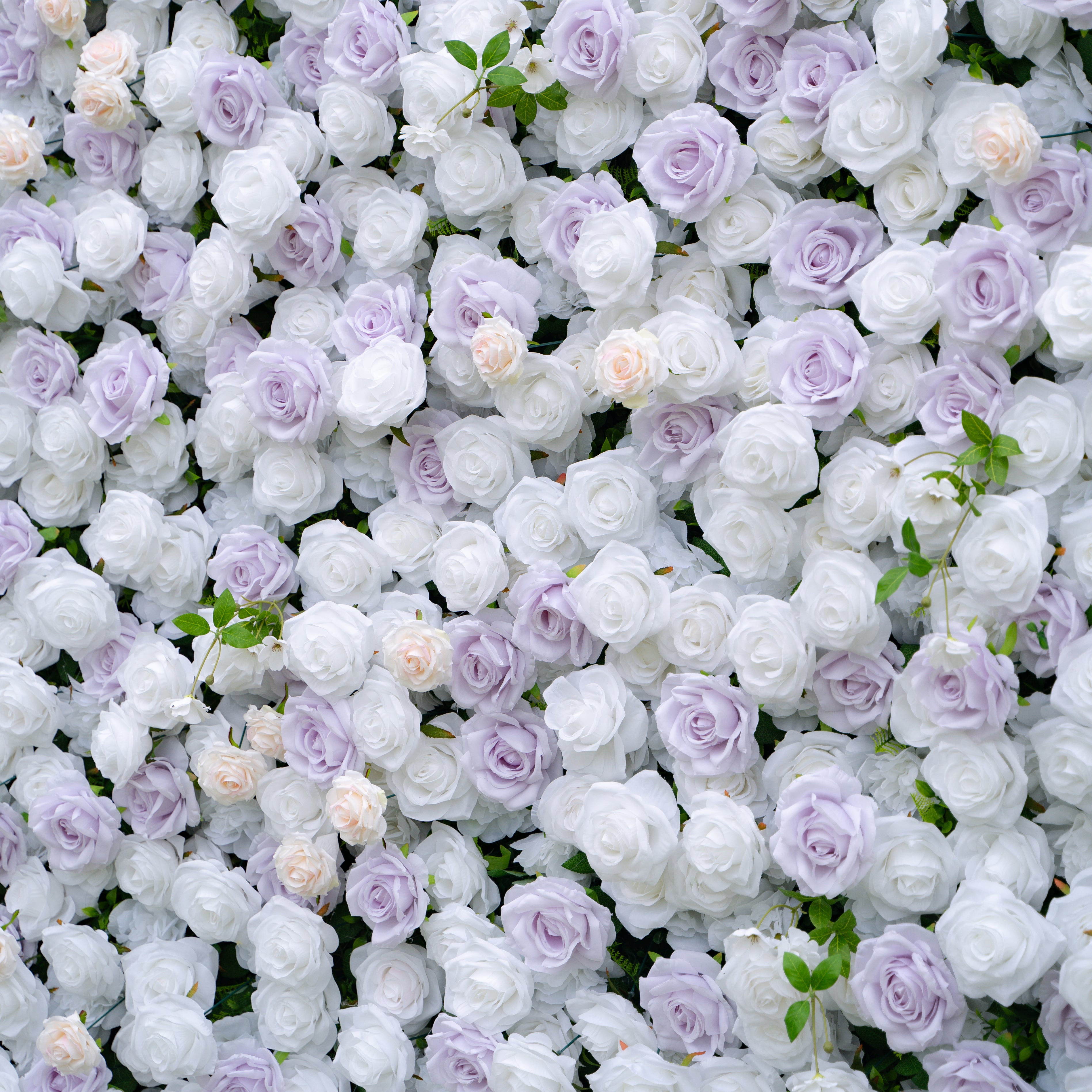 Jazlynn:5D Fabric Artificial rolling up curtain flower wall (Ready to ship) Rose Morning