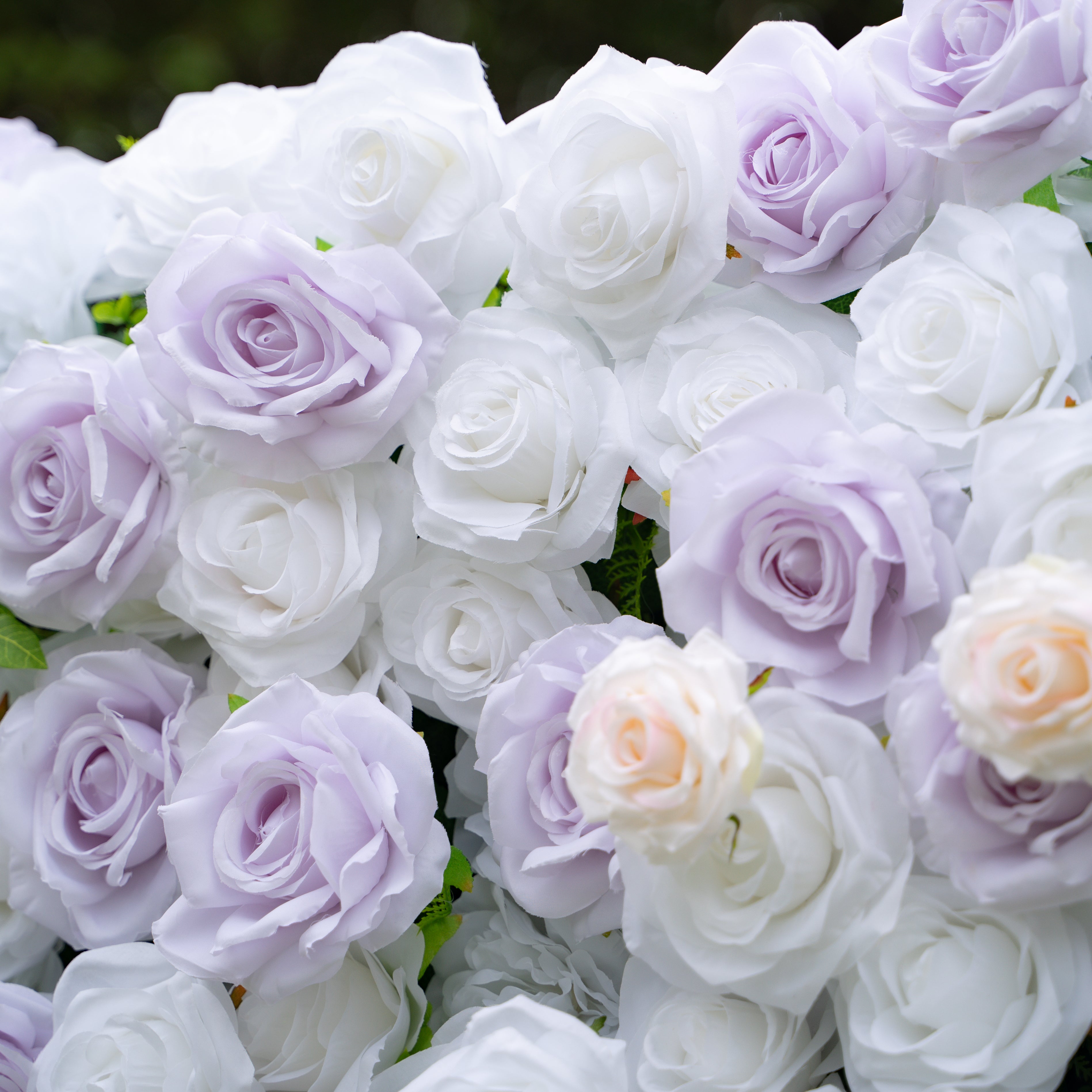 Jazlynn:5D Fabric Artificial rolling up curtain flower wall (Ready to ship) Rose Morning
