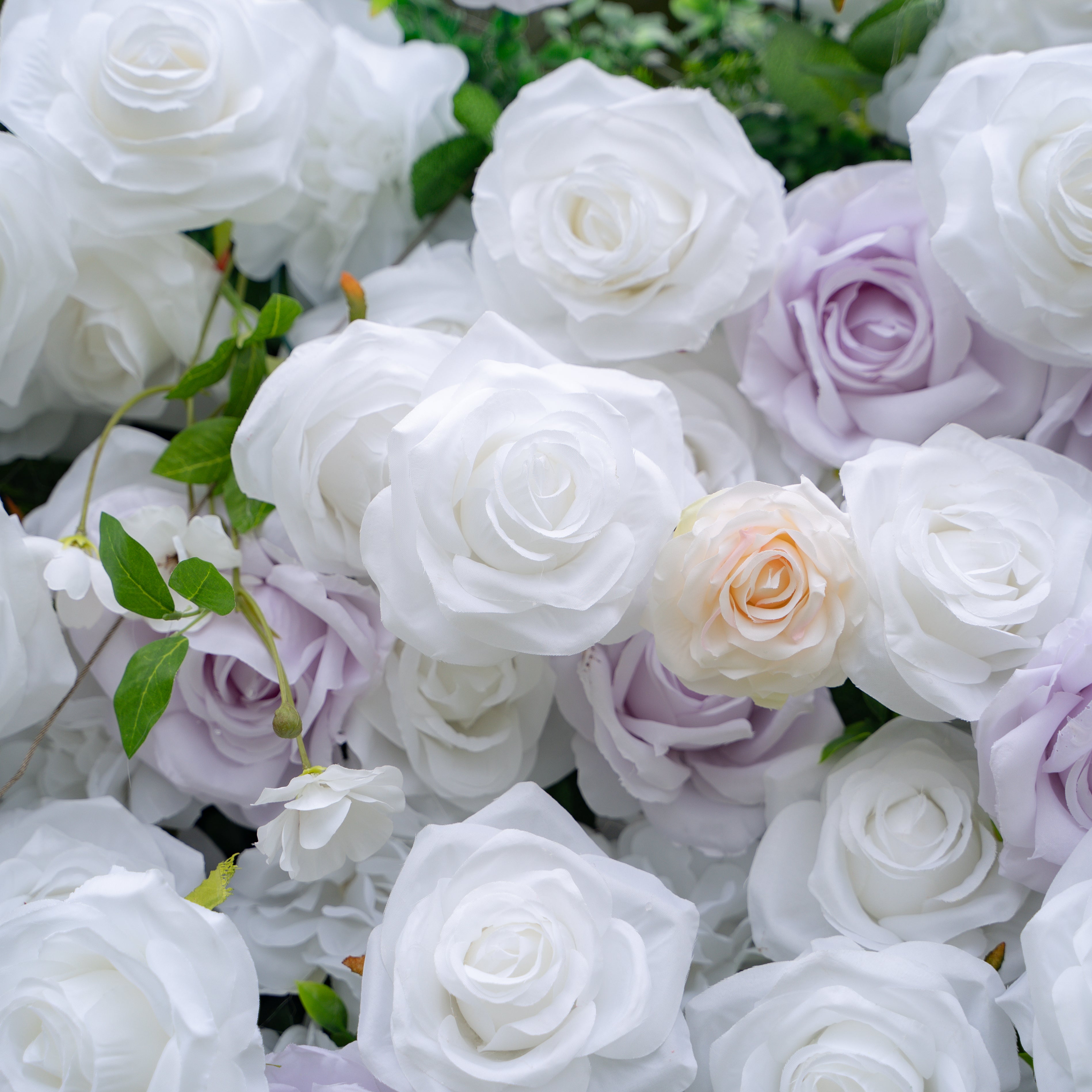 Jazlynn:5D Fabric Artificial rolling up curtain flower wall (Ready to ship) Rose Morning