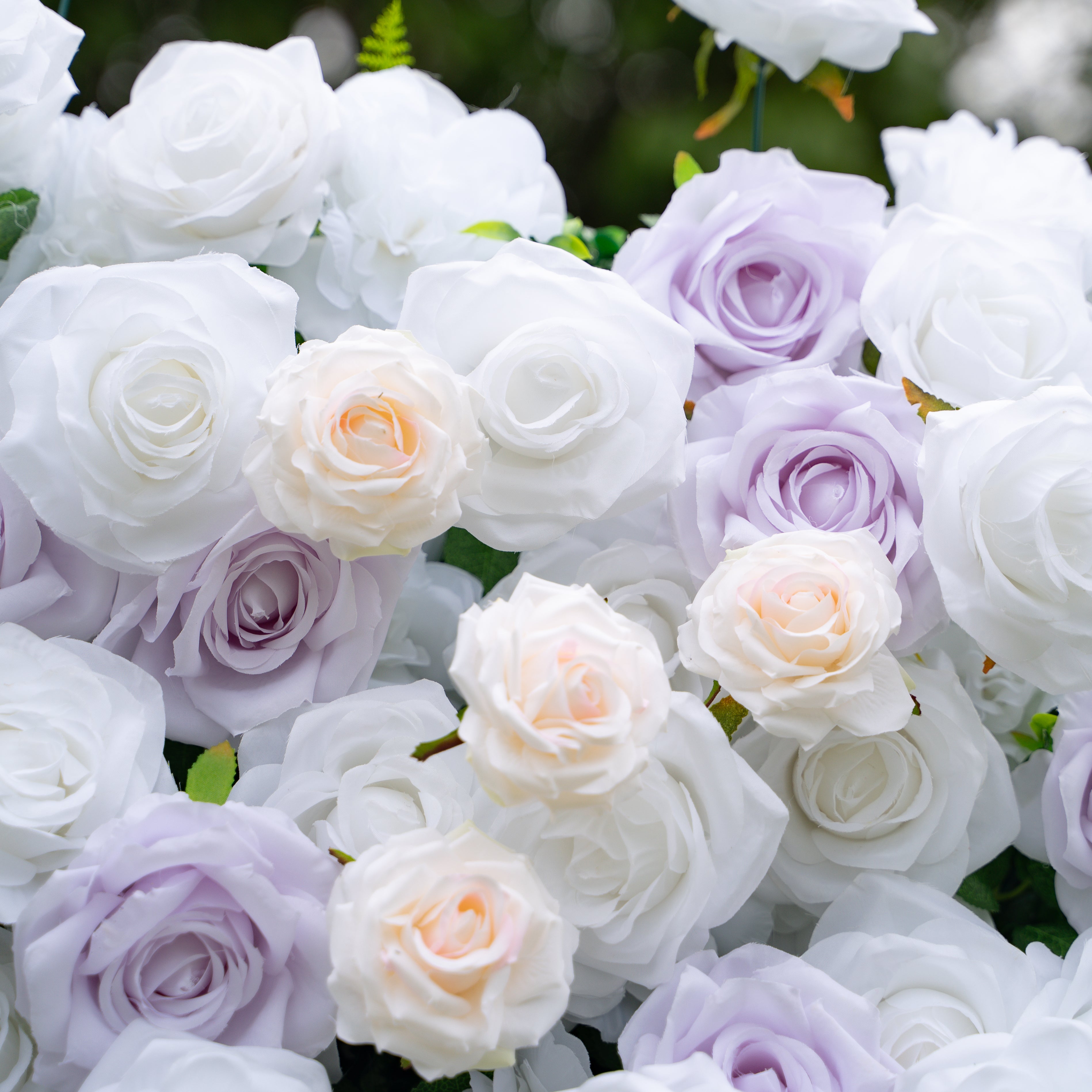 Jazlynn:5D Fabric Artificial rolling up curtain flower wall (Ready to ship) Rose Morning