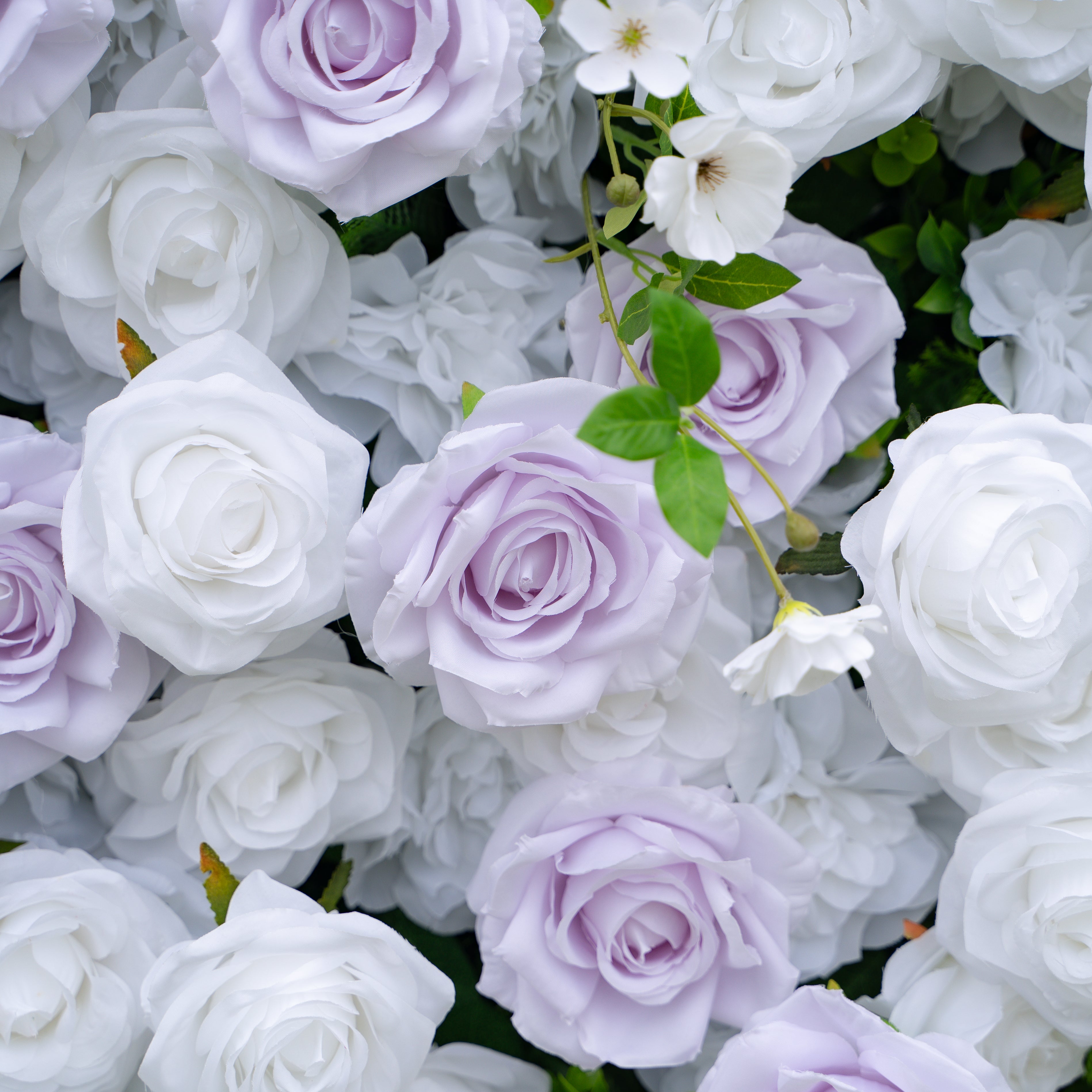Jazlynn:5D Fabric Artificial rolling up curtain flower wall (Ready to ship) Rose Morning