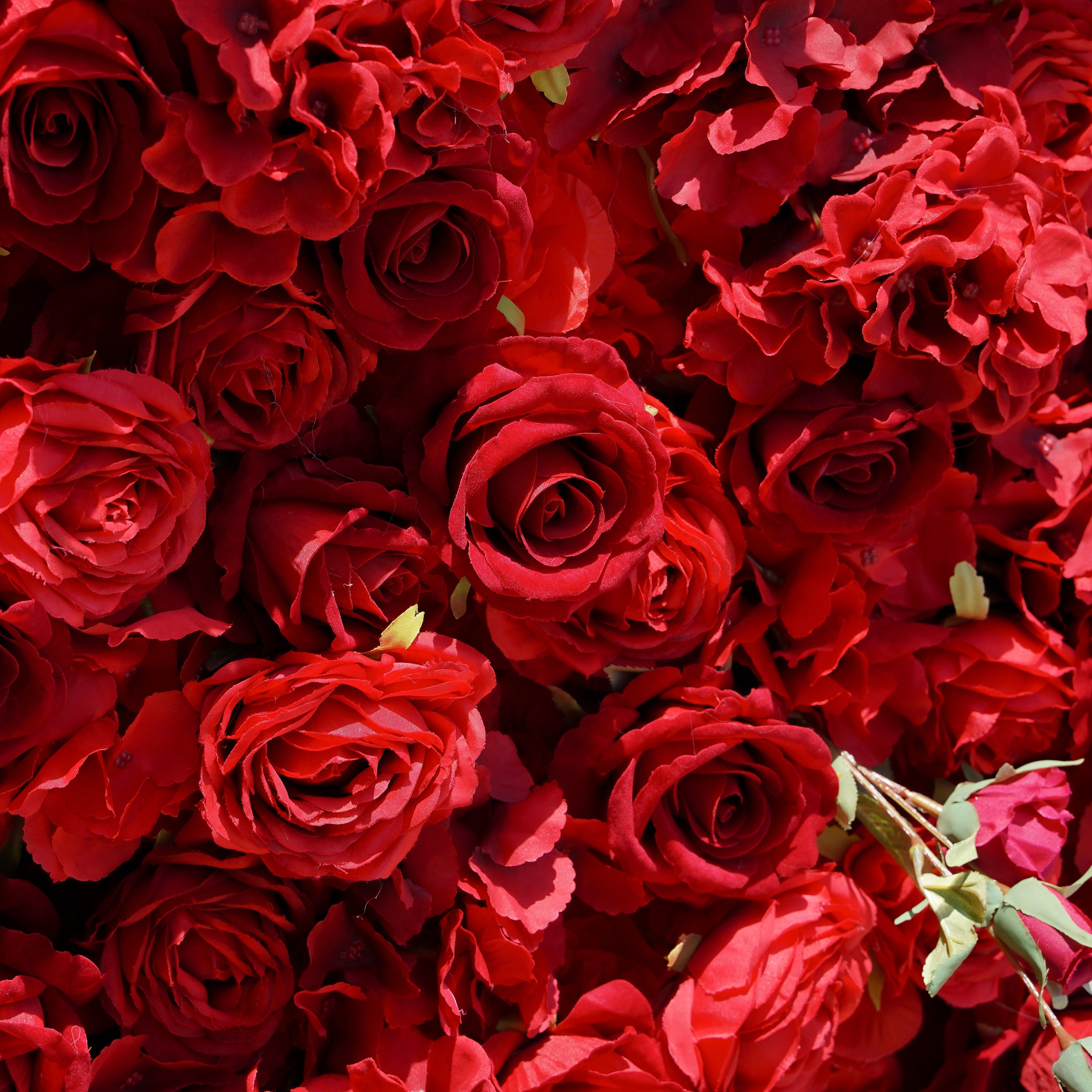 Jennifer: 3D Fabric Artificial Flower Wall Rolling Up Curtain Flower Wall R175 - 8ft*8ft Rose Morning