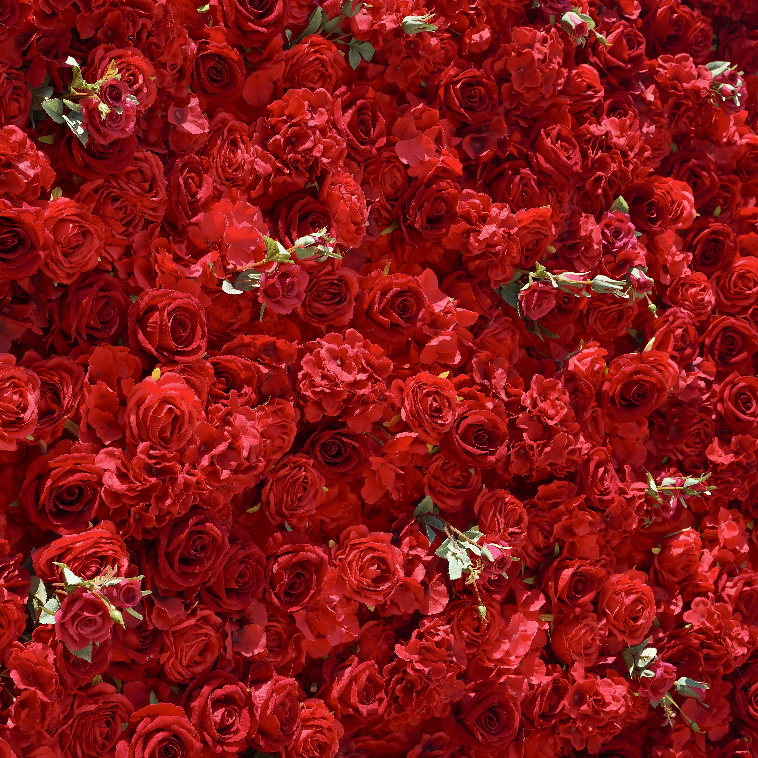 Jennifer: 3D Fabric Artificial Flower Wall Rolling Up Curtain Flower Wall R175 - 8ft*8ft Rose Morning