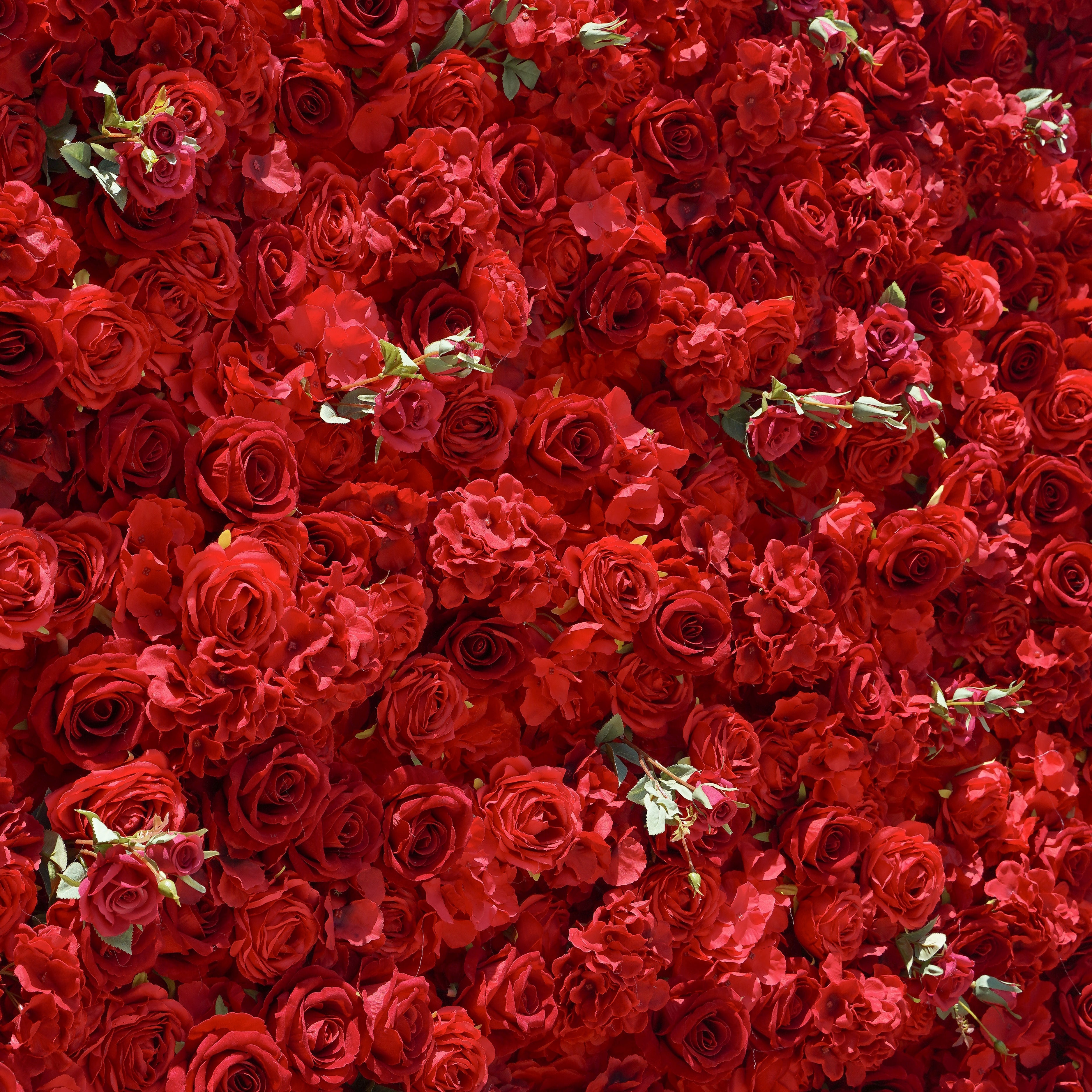 Jennifer: 3D Fabric Artificial Flower Wall Rolling Up Curtain Flower Wall R175 - 8ft*8ft Rose Morning