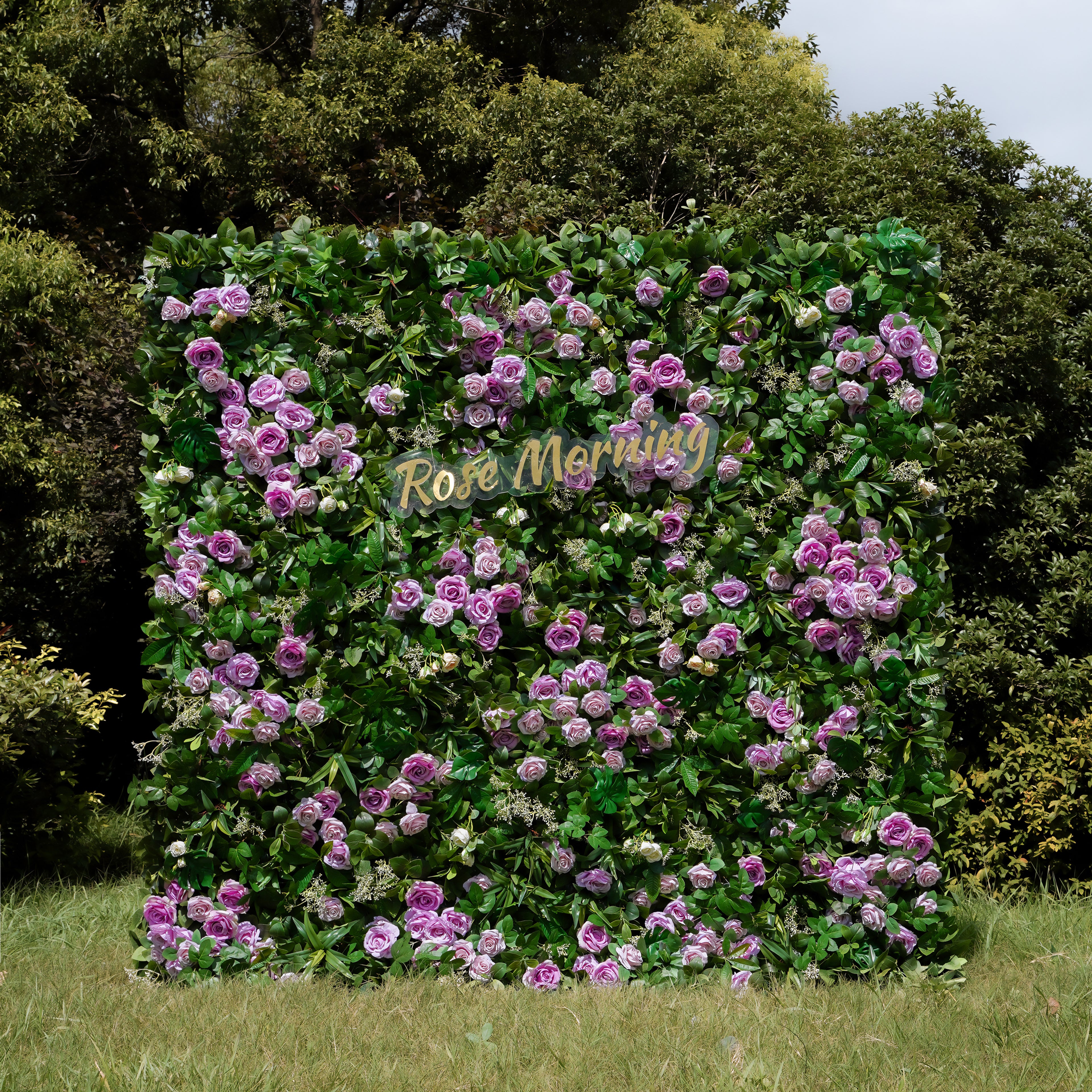 Juliette: 5D Fabric Artificial Flower Wall Rolling Up Curtain Flower Wall 8ft*8ft -R783 Rose Morning