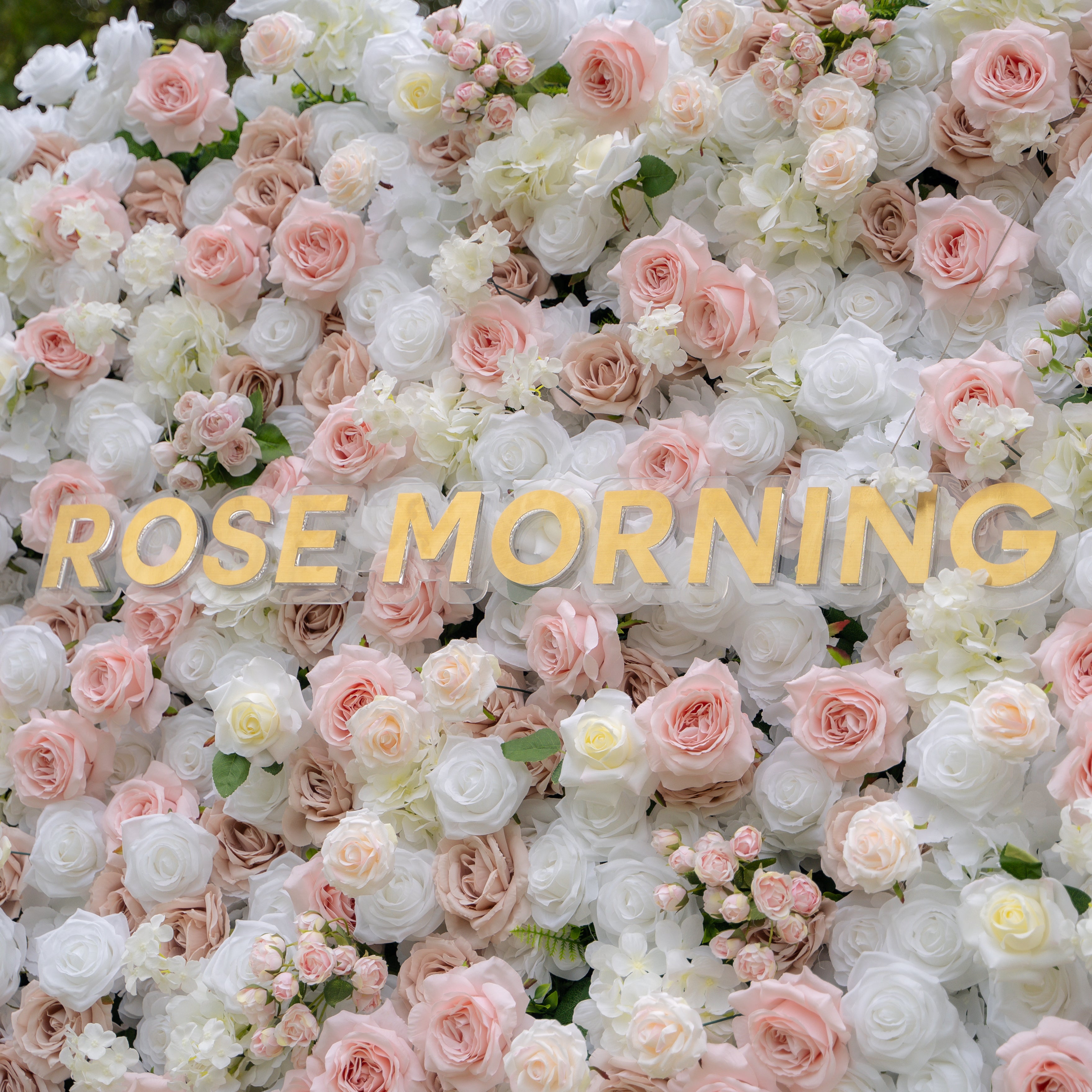 Khloe:5D Fabric Artificial rolling up curtain flower wall(复制) Rose Morning