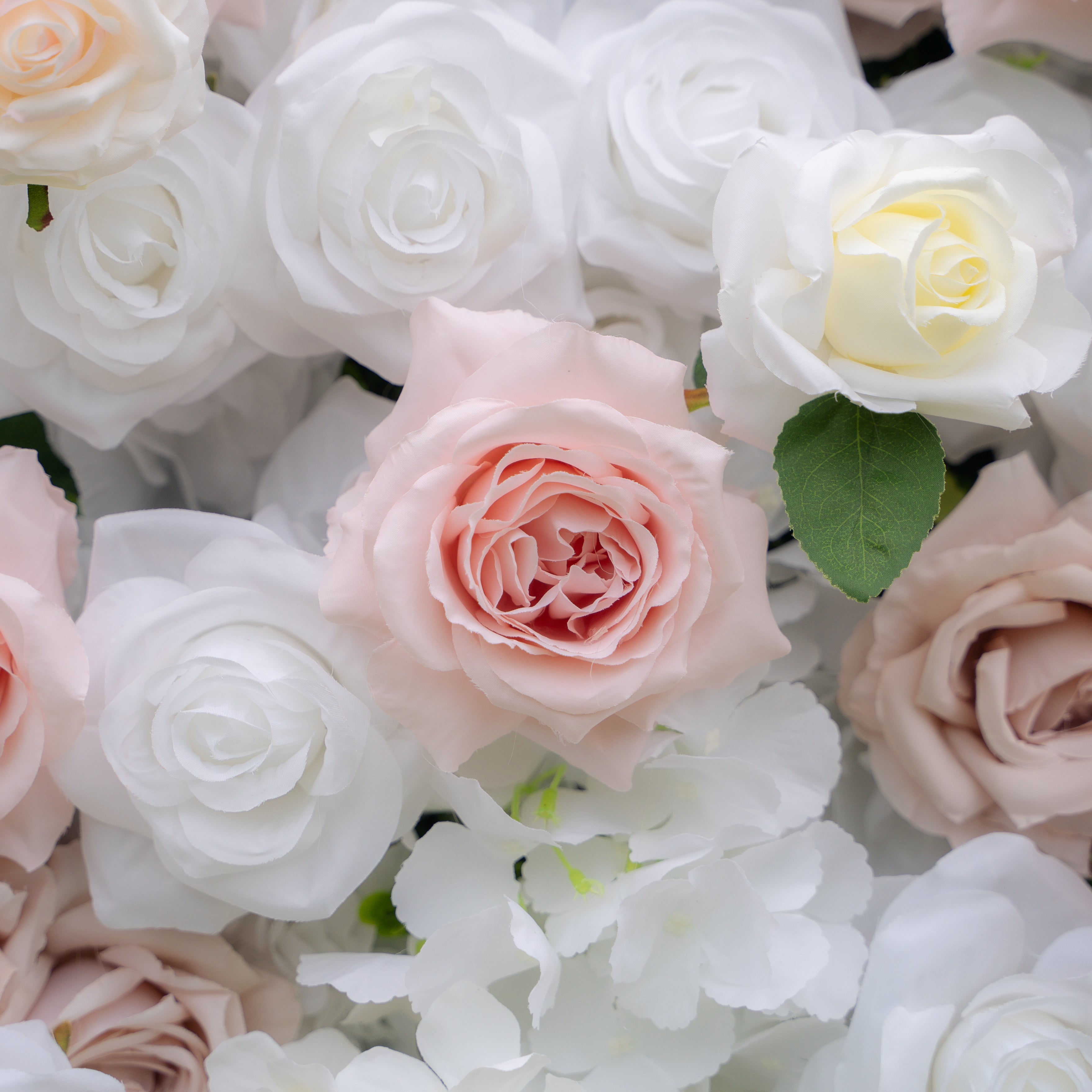 Khloe:5D Fabric Artificial rolling up curtain flower wall(复制) Rose Morning