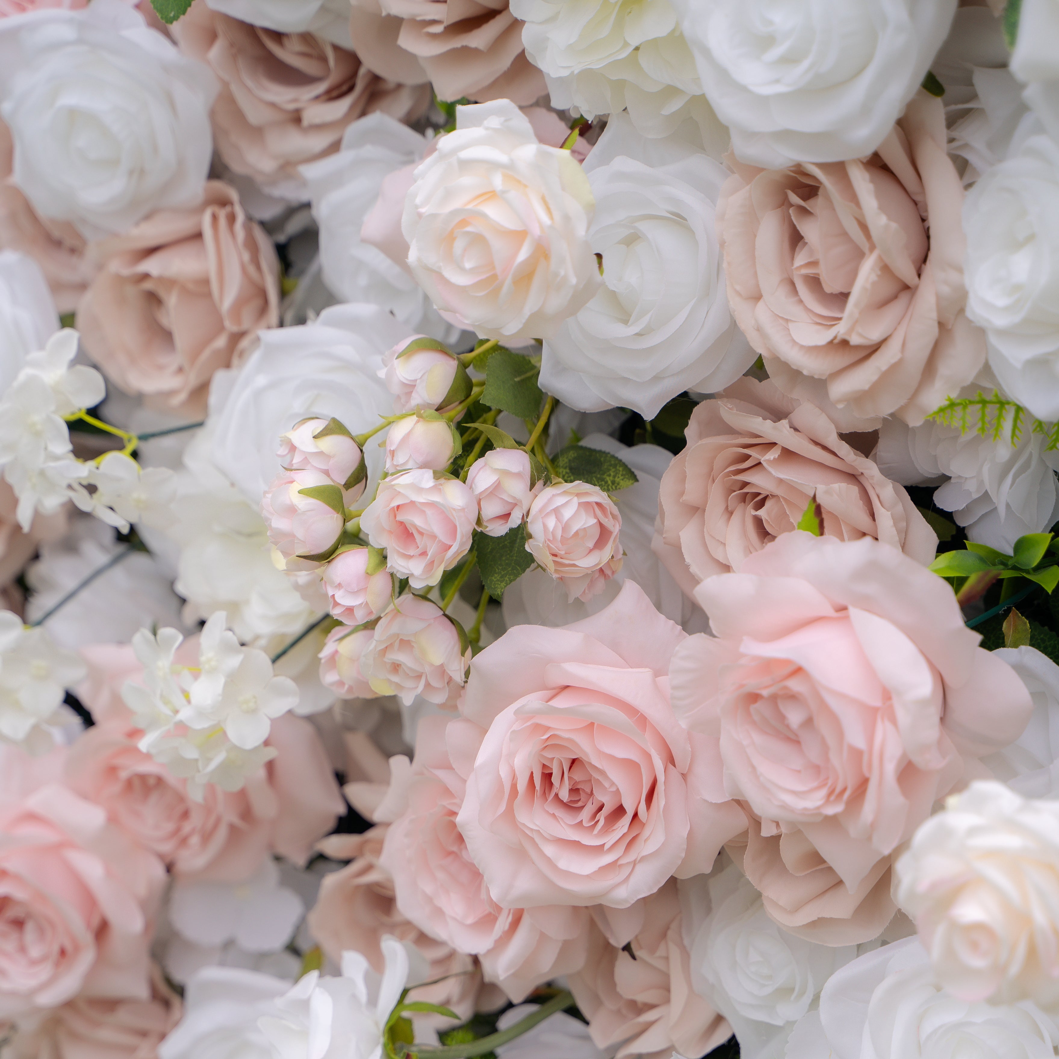 Khloe:5D Fabric Artificial rolling up curtain flower wall(复制) Rose Morning