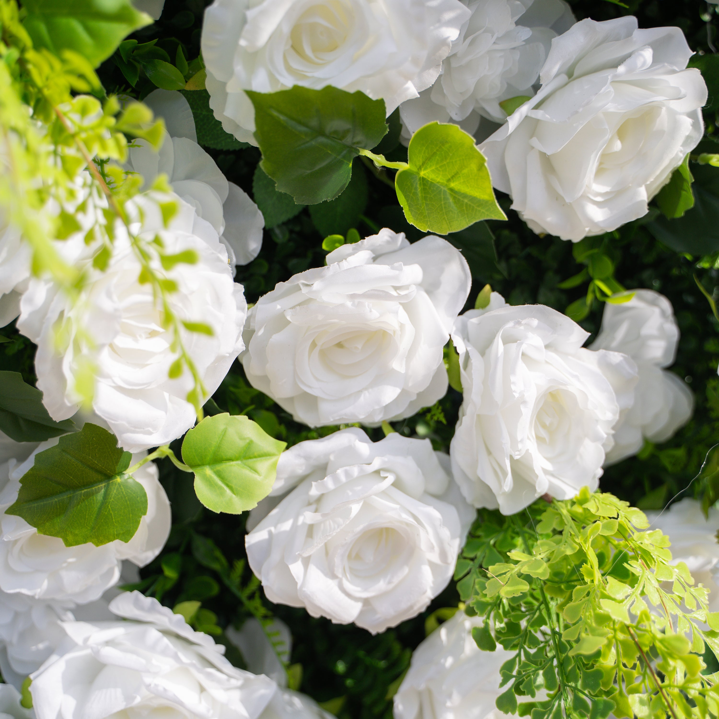 Liora: 3D White Rose & Greenery Roll-Up Curtain Artificial Floral Wall for Garden Wedding & Party Decor