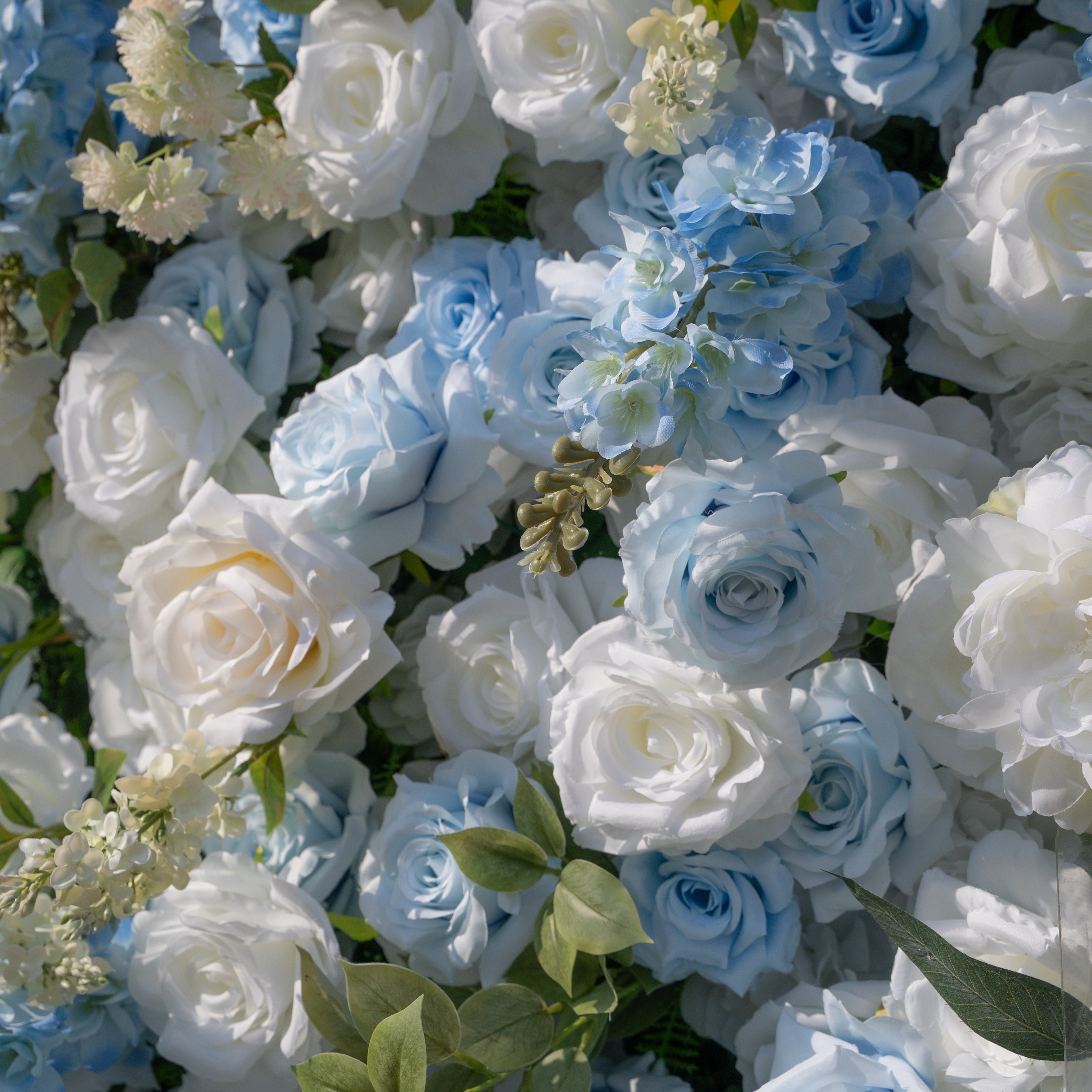 Loira :Limited Custom Release Blue–white gradient Photogenic Full-bloom texture 8ft*8ft