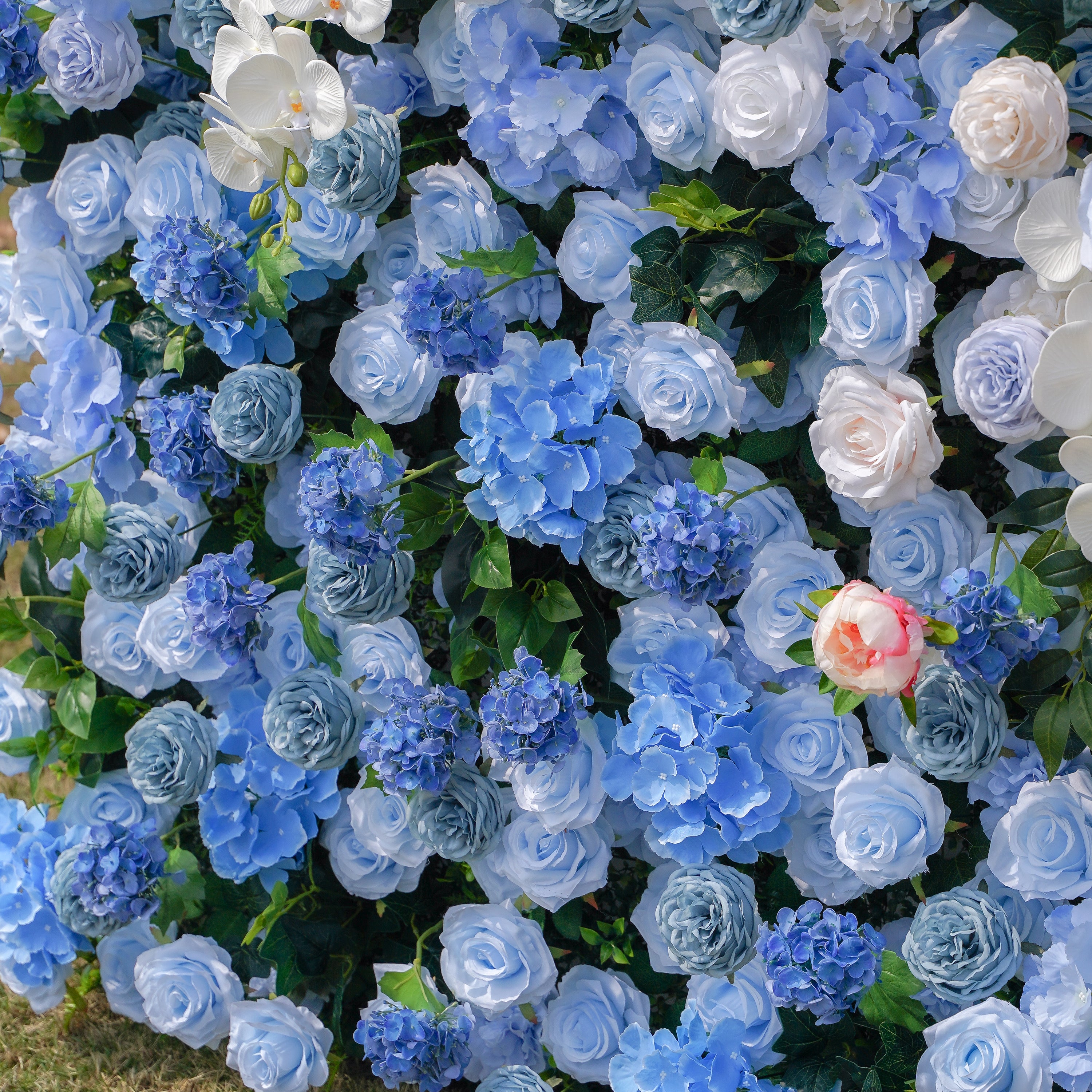Lotte:5D Fabric Artificial rolling up curtain flower wall Rose Morning