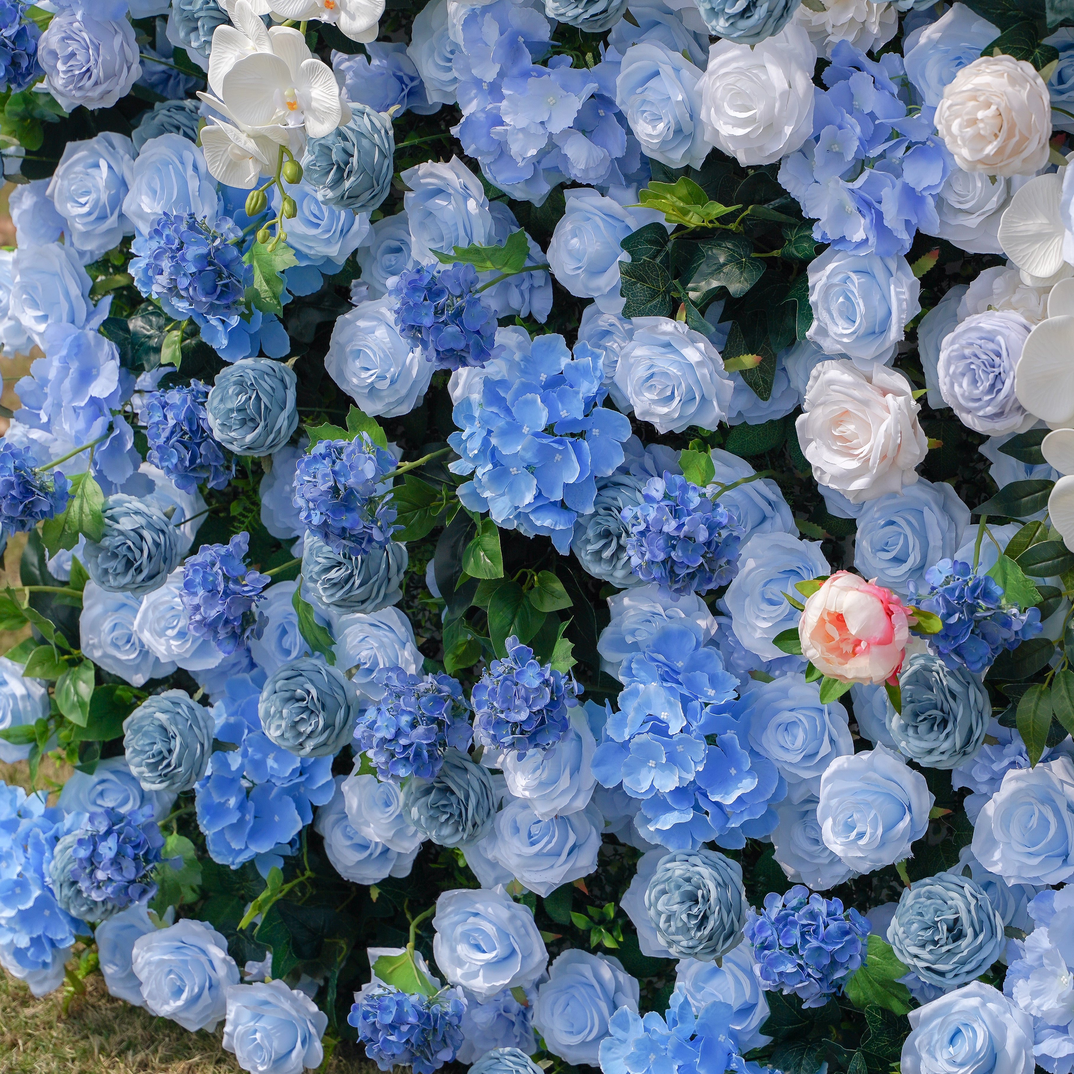 Lotte:5D Fabric Artificial rolling up curtain flower wall Rose Morning