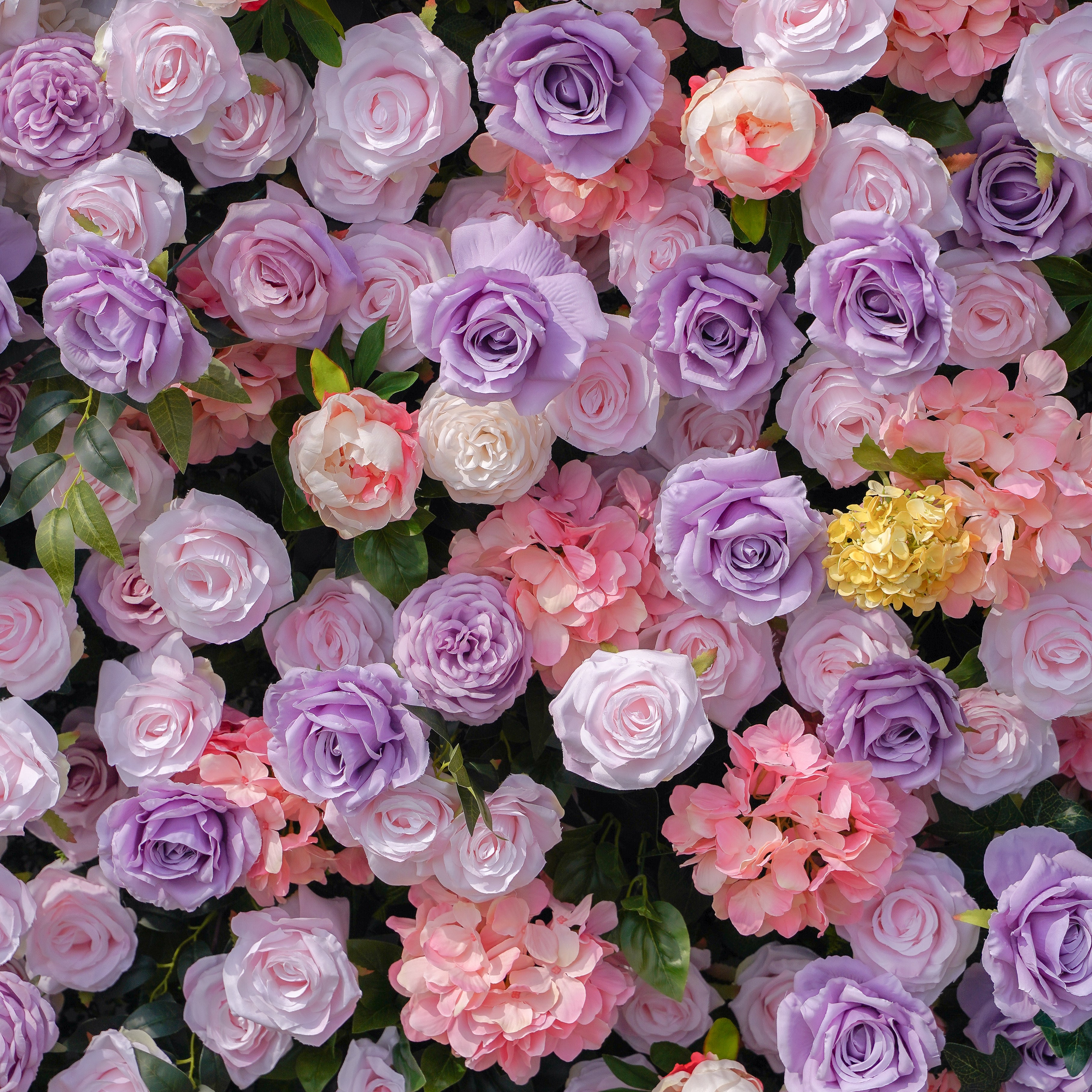 Lotte:5D Fabric Artificial rolling up curtain flower wall Rose Morning