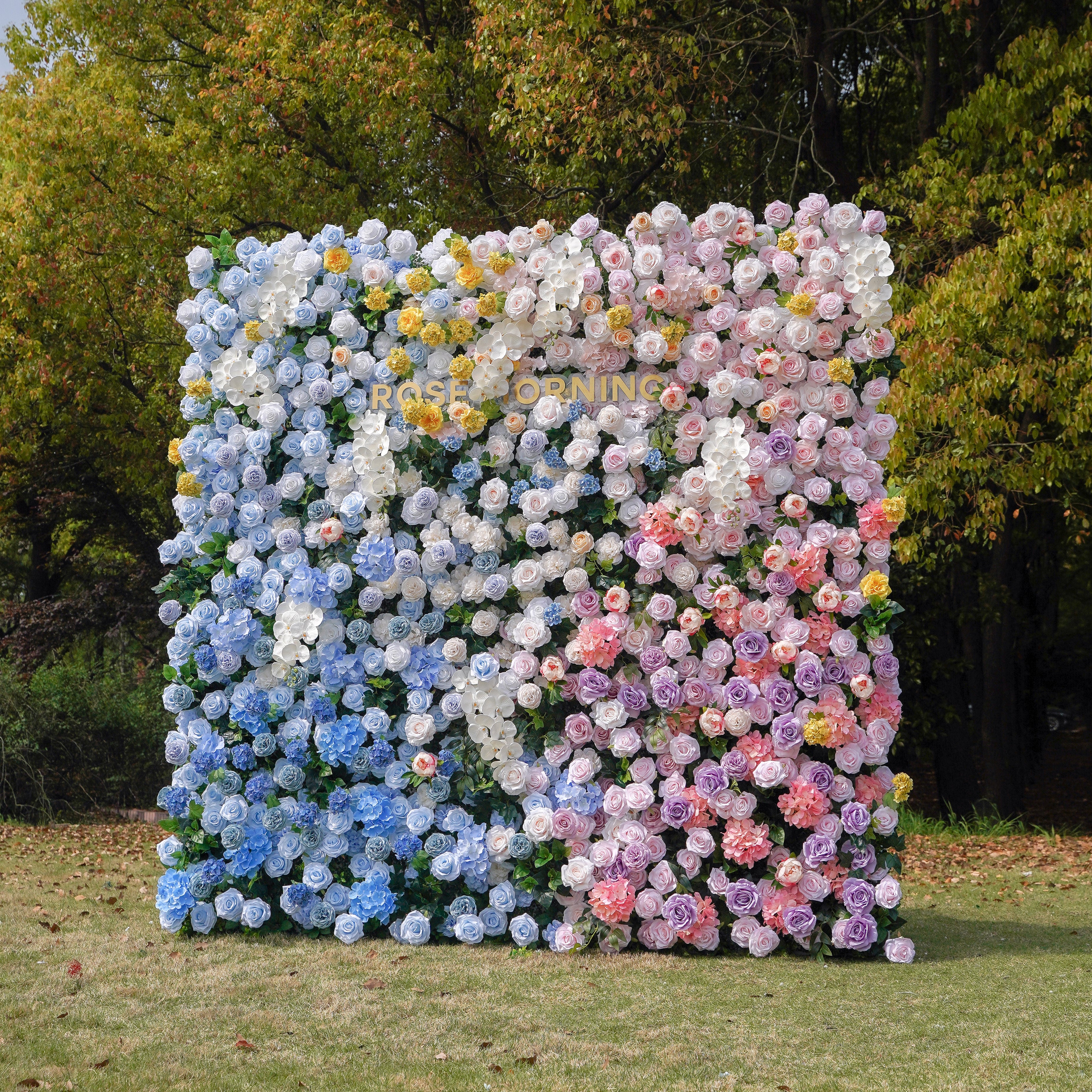 Lotte:5D Fabric Artificial rolling up curtain flower wall Rose Morning