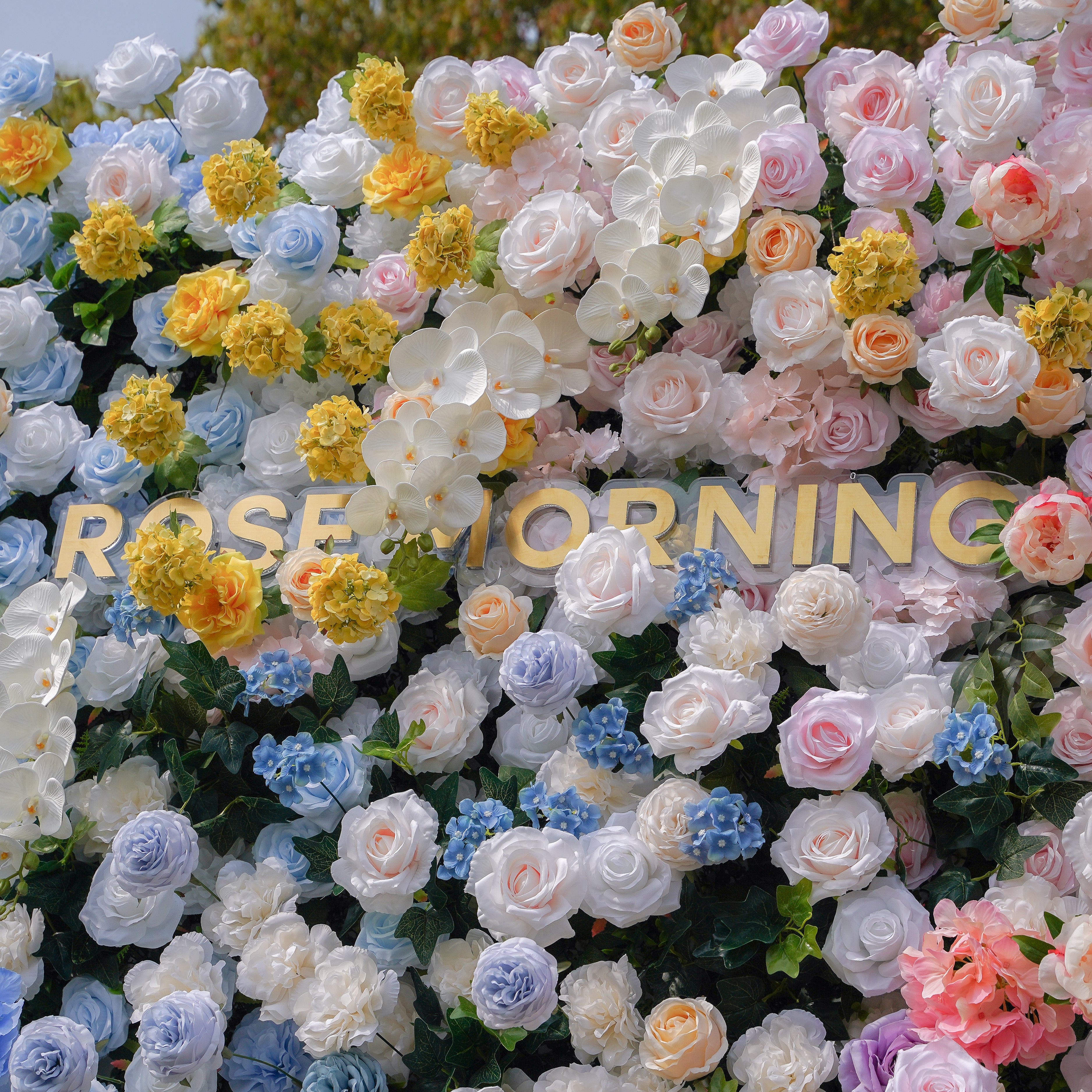 Lotte:5D Fabric Artificial rolling up curtain flower wall Rose Morning