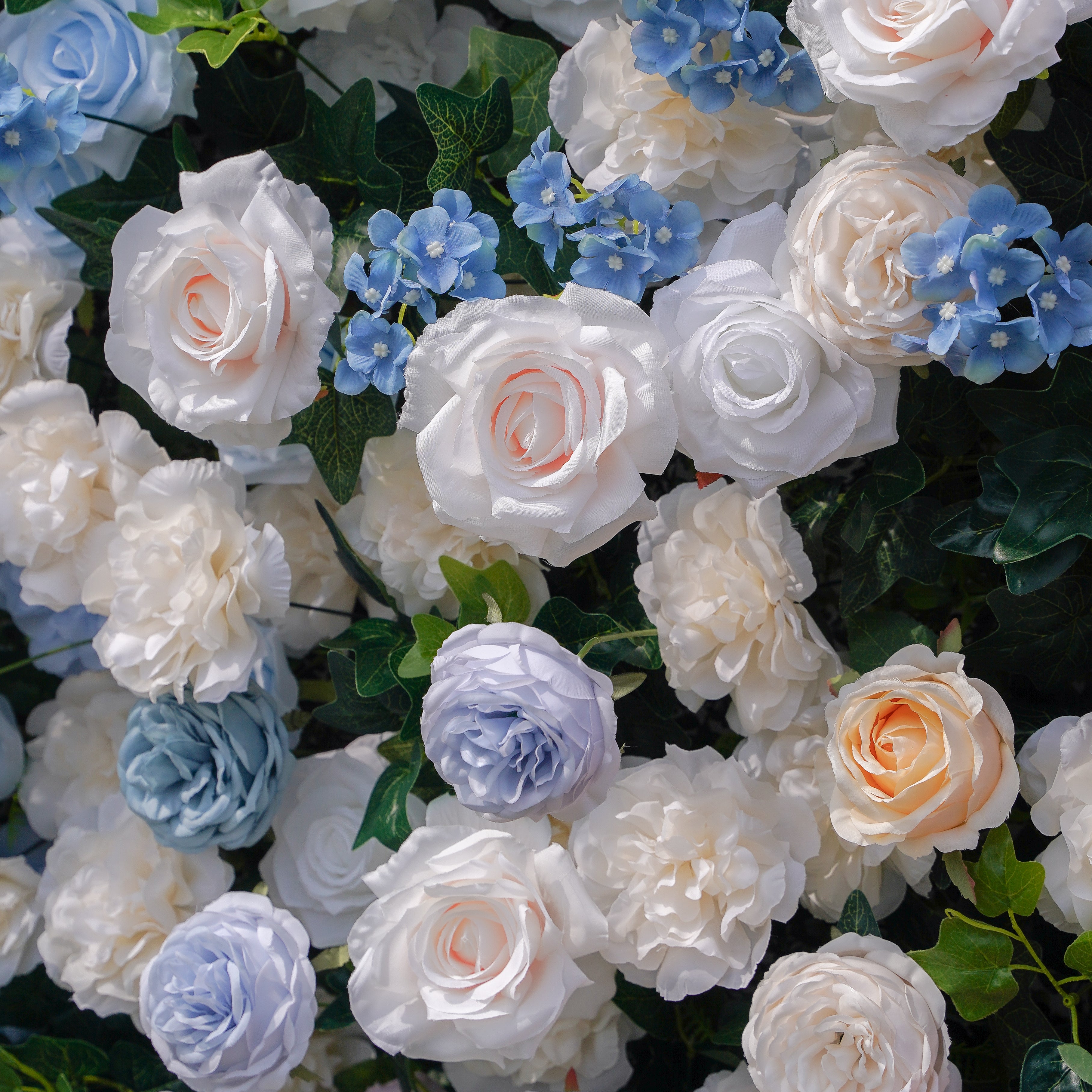 Lotte:5D Fabric Artificial rolling up curtain flower wall Rose Morning