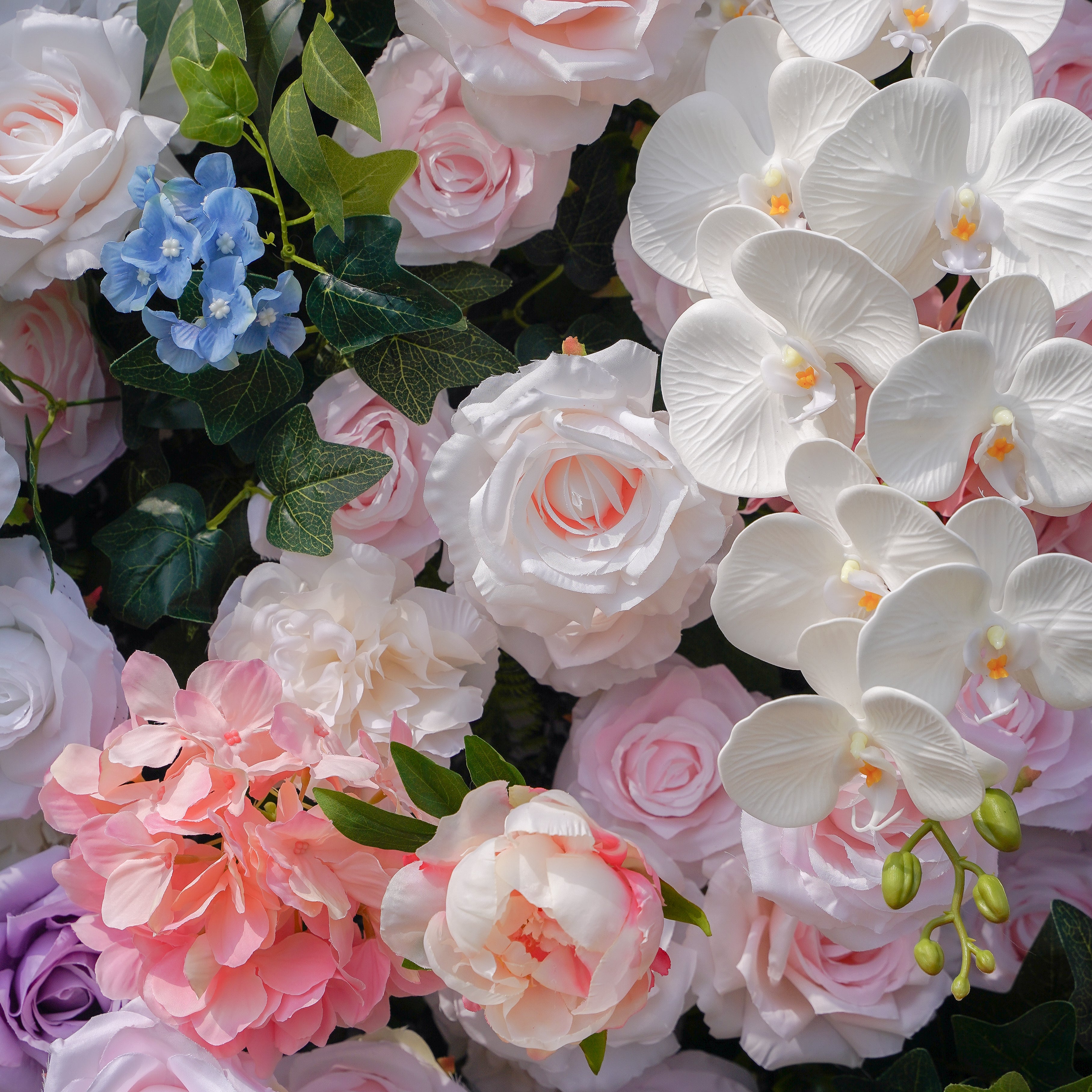 Lotte:5D Fabric Artificial rolling up curtain flower wall Rose Morning