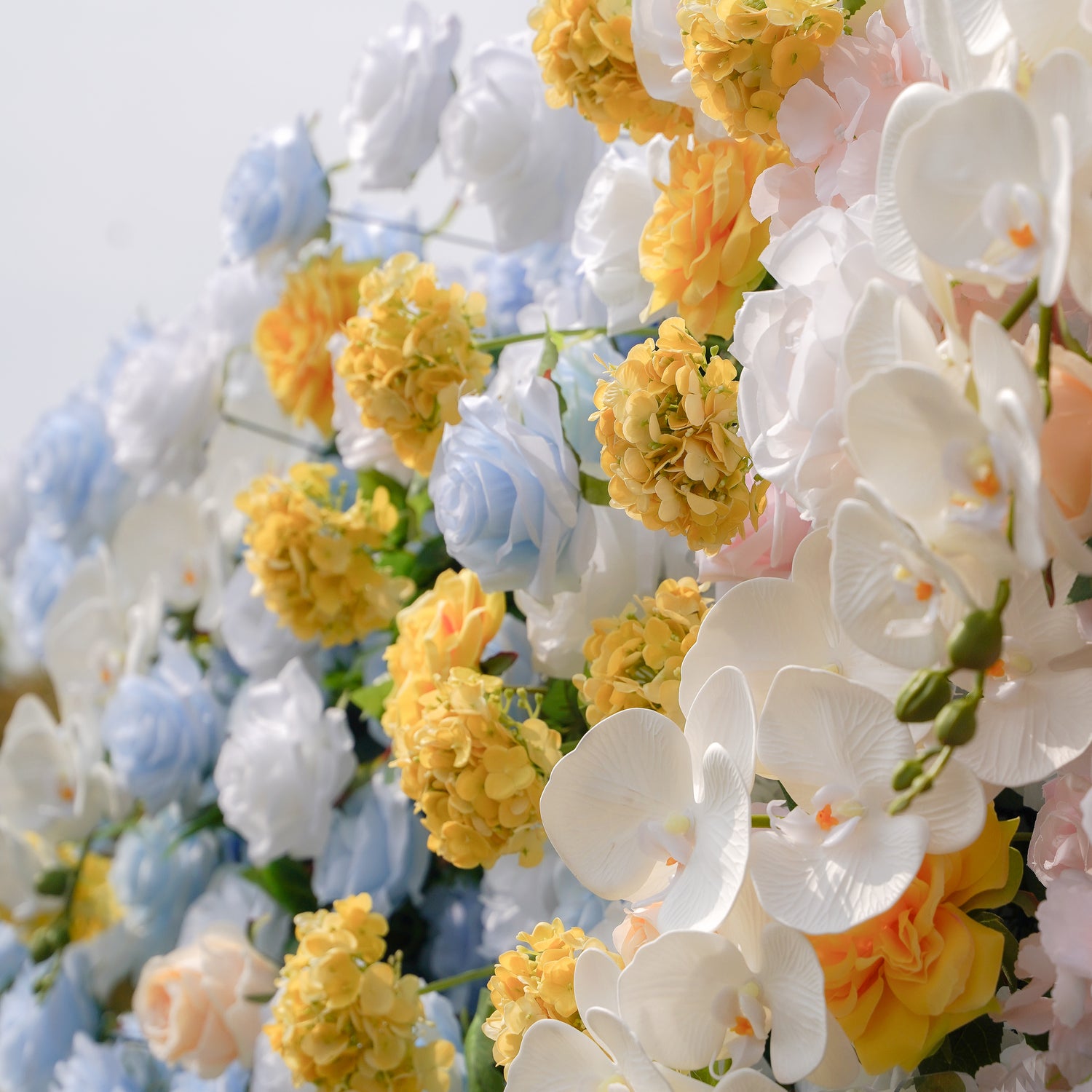 Lotte:5D Fabric Artificial rolling up curtain flower wall Rose Morning